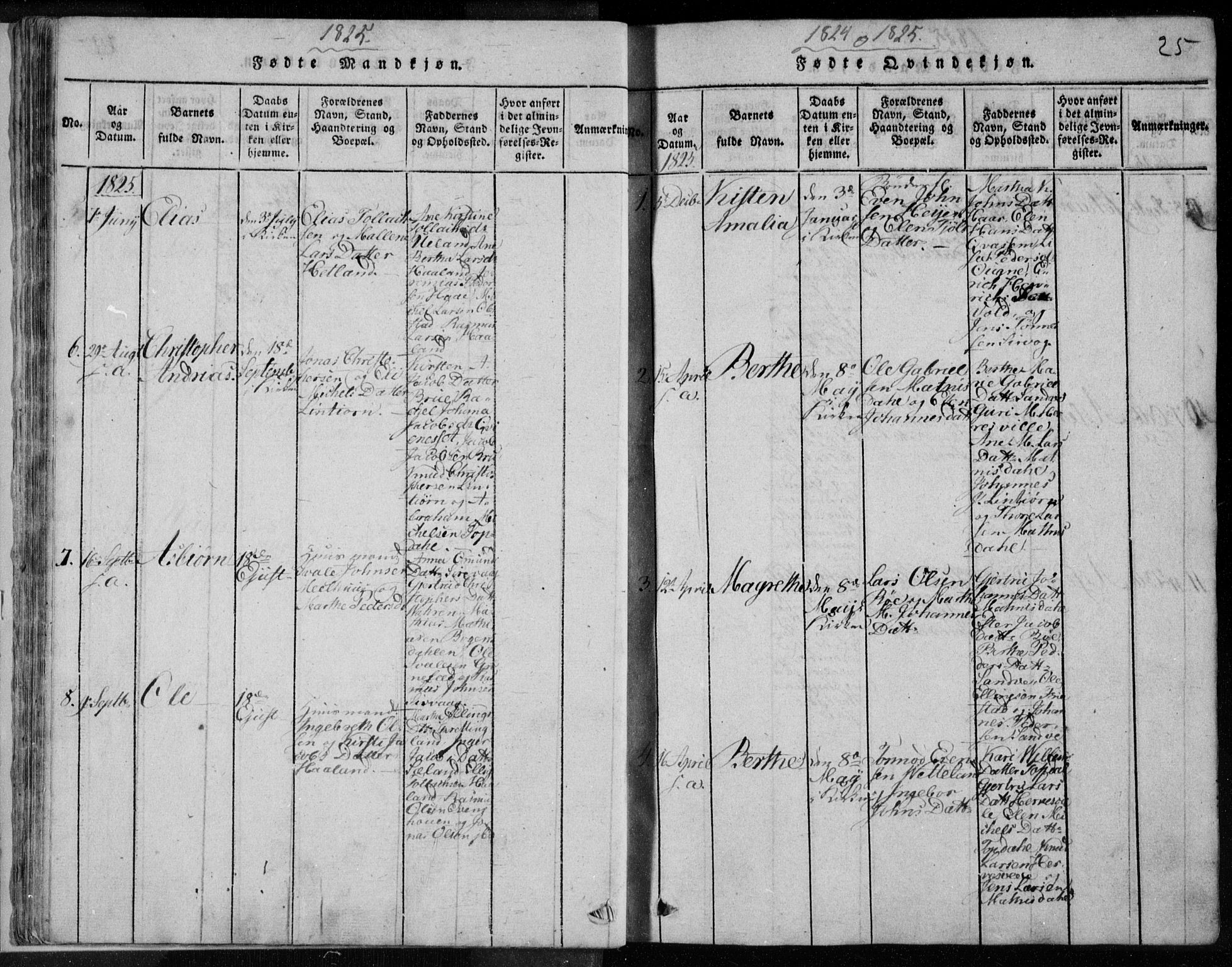 Eigersund sokneprestkontor, AV/SAST-A-101807/S08/L0008: Parish register (official) no. A 8, 1816-1847, p. 25