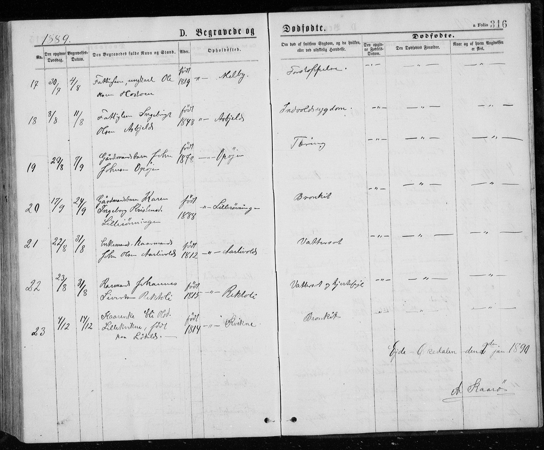 Ministerialprotokoller, klokkerbøker og fødselsregistre - Sør-Trøndelag, AV/SAT-A-1456/671/L0843: Parish register (copy) no. 671C02, 1873-1892, p. 316