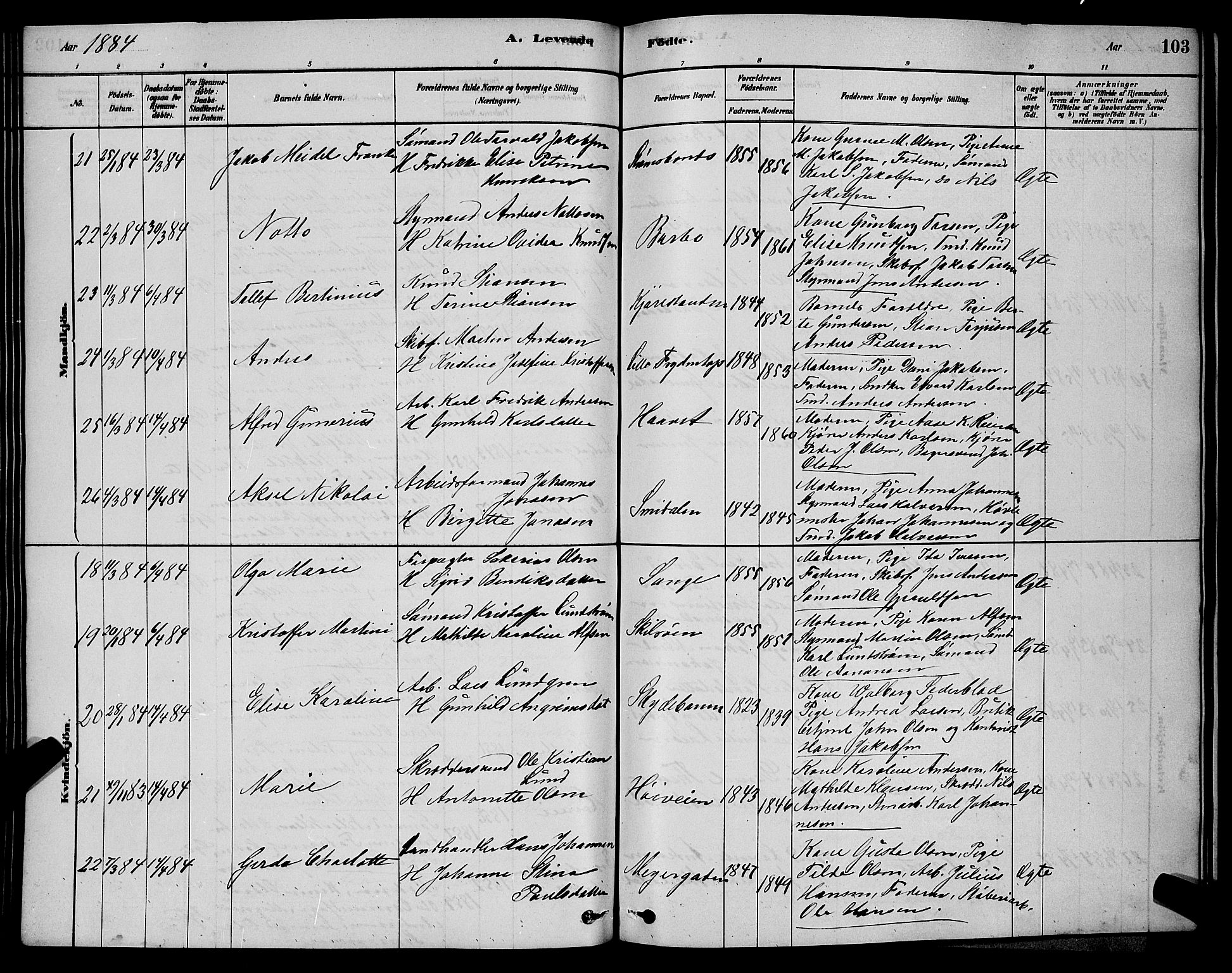 Barbu sokneprestkontor, AV/SAK-1111-0003/F/Fb/L0001: Parish register (copy) no. B 1, 1878-1890, p. 103