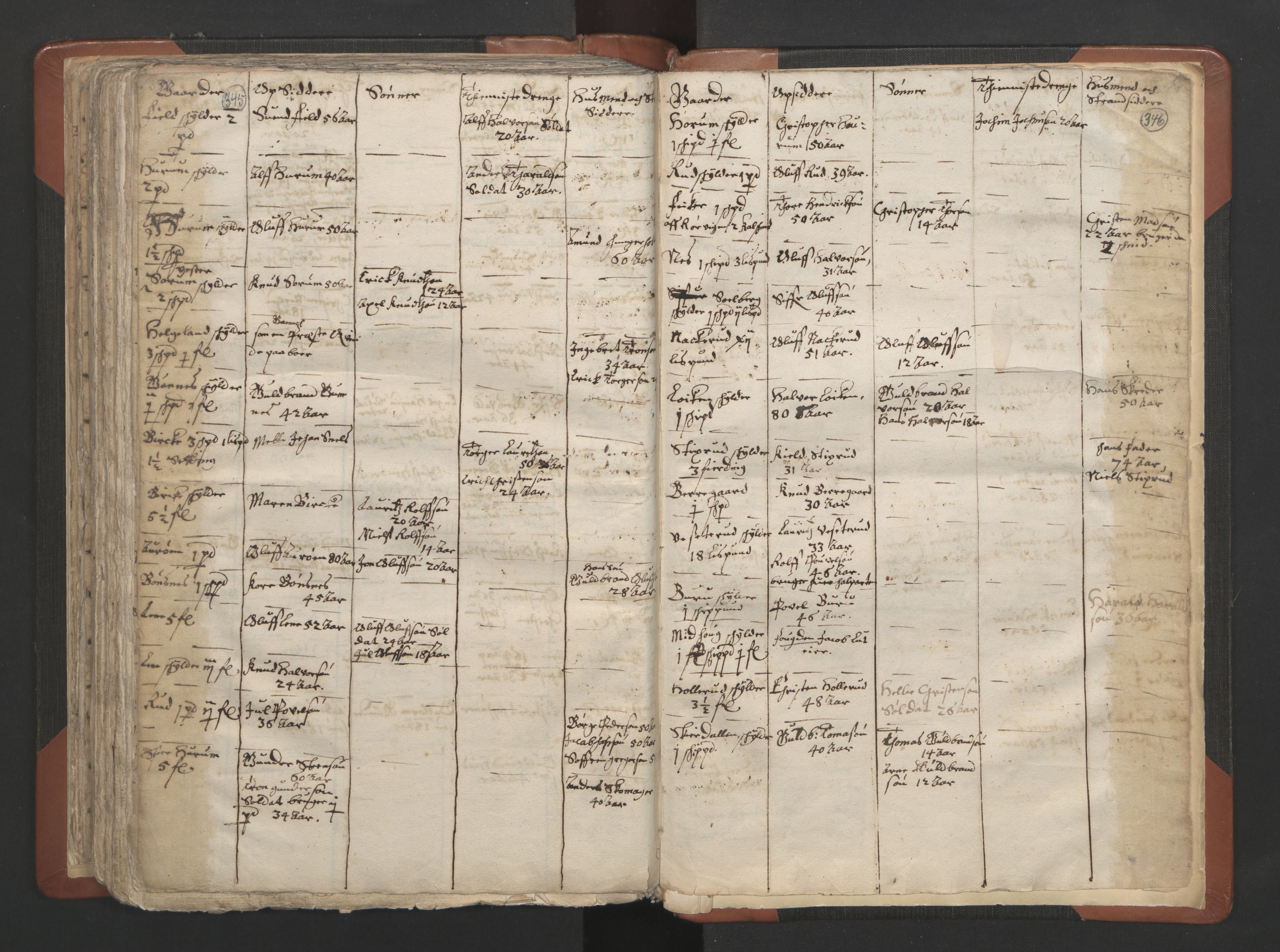 RA, Vicar's Census 1664-1666, no. 7: Hadeland deanery, 1664-1666, p. 345-346