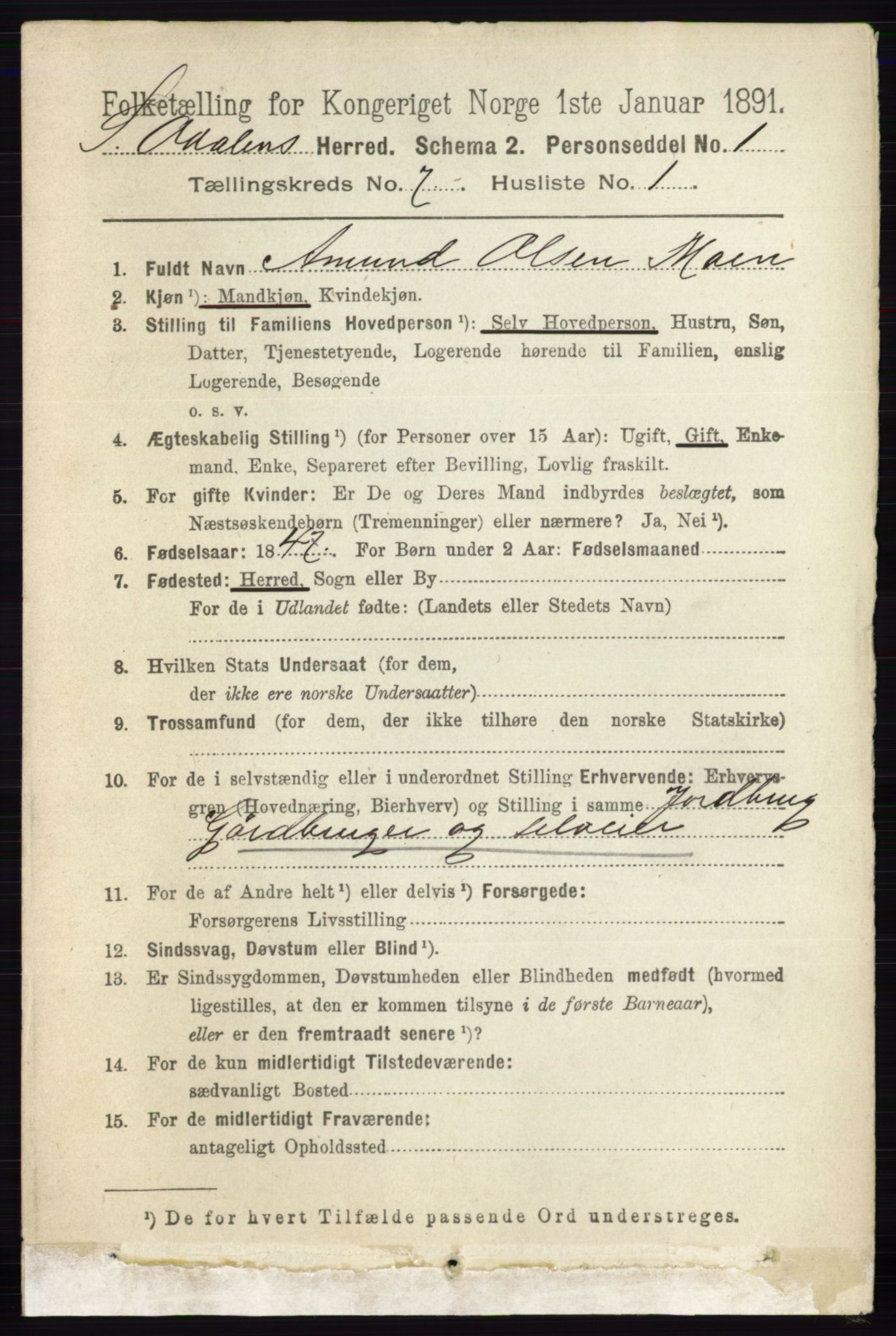 RA, 1891 census for 0419 Sør-Odal, 1891, p. 3555