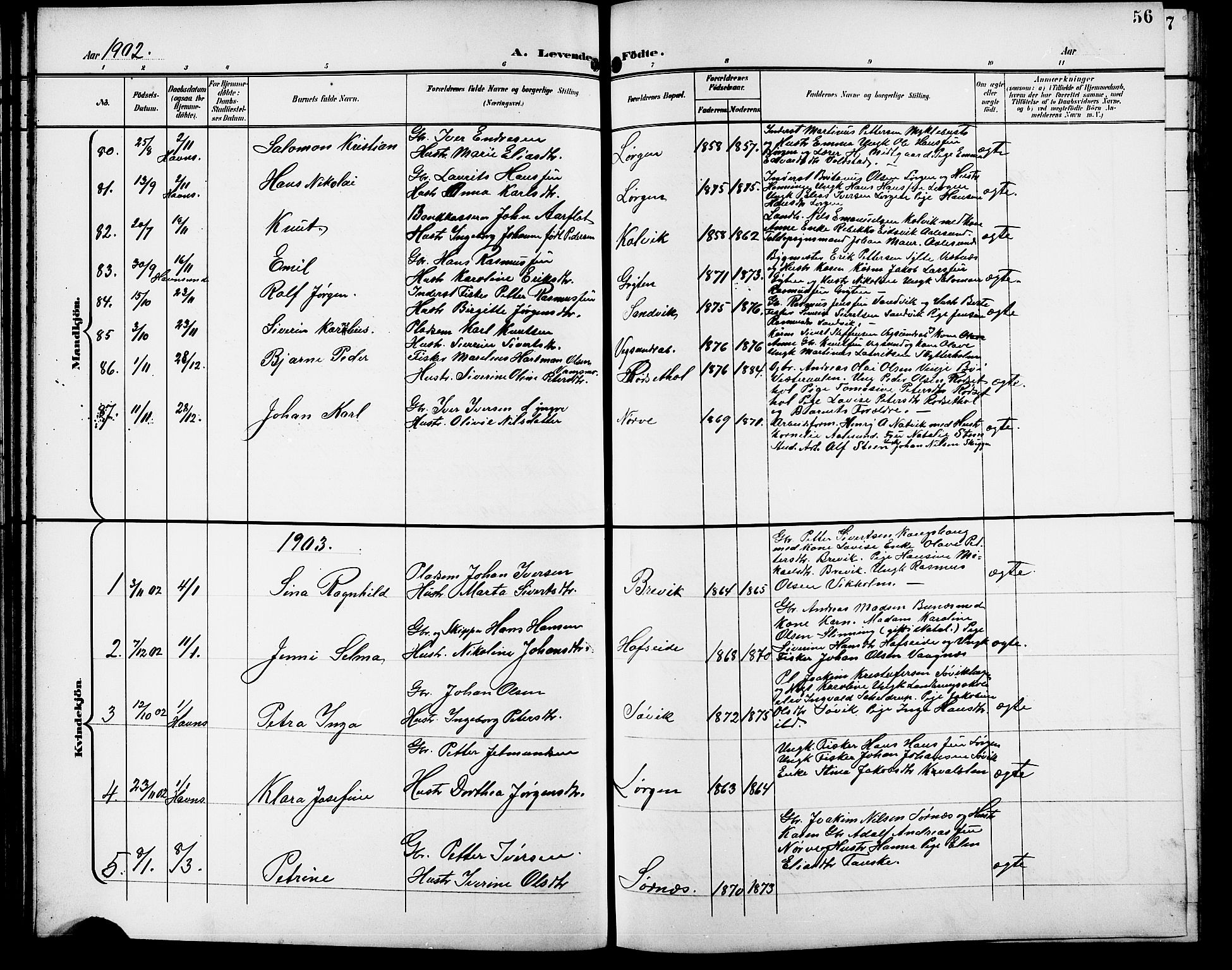 Ministerialprotokoller, klokkerbøker og fødselsregistre - Møre og Romsdal, AV/SAT-A-1454/528/L0432: Parish register (copy) no. 528C13, 1898-1918, p. 56