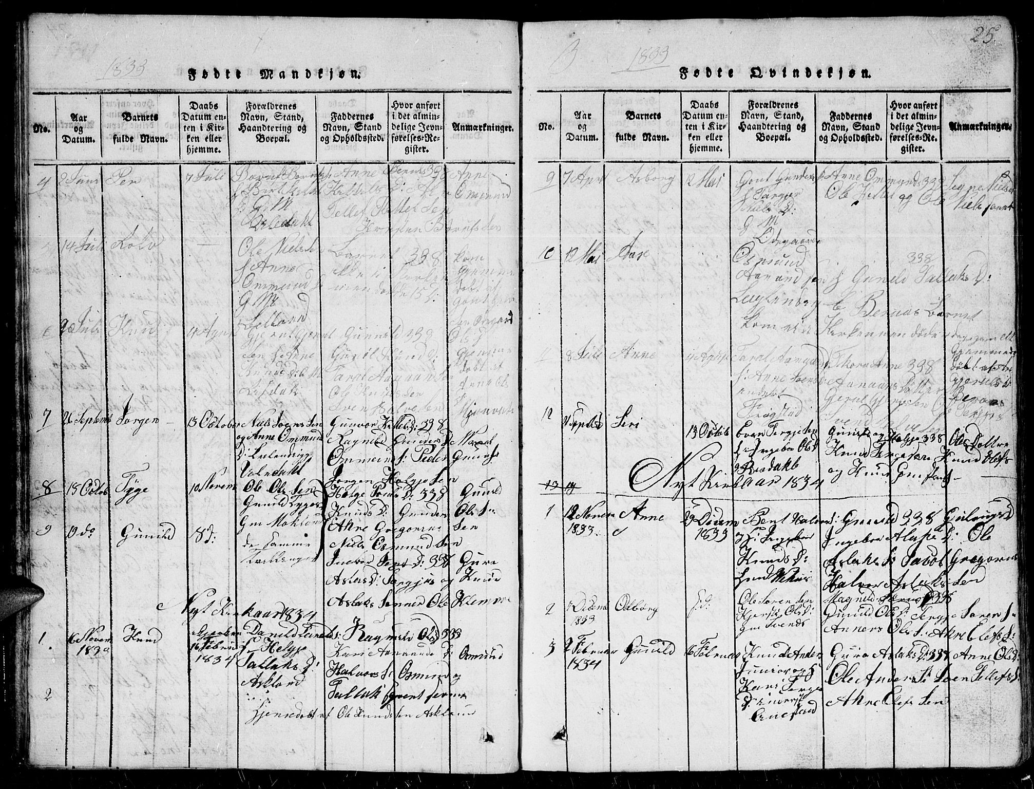 Herefoss sokneprestkontor, SAK/1111-0019/F/Fb/Fbc/L0001: Parish register (copy) no. B 1, 1816-1866, p. 25