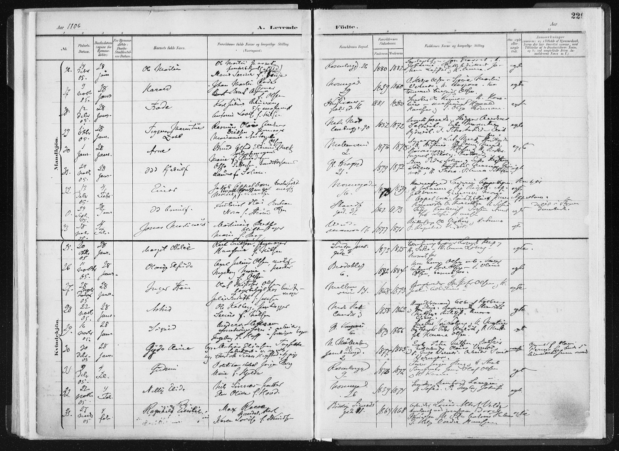 Ministerialprotokoller, klokkerbøker og fødselsregistre - Sør-Trøndelag, AV/SAT-A-1456/604/L0199: Parish register (official) no. 604A20I, 1901-1906, p. 229