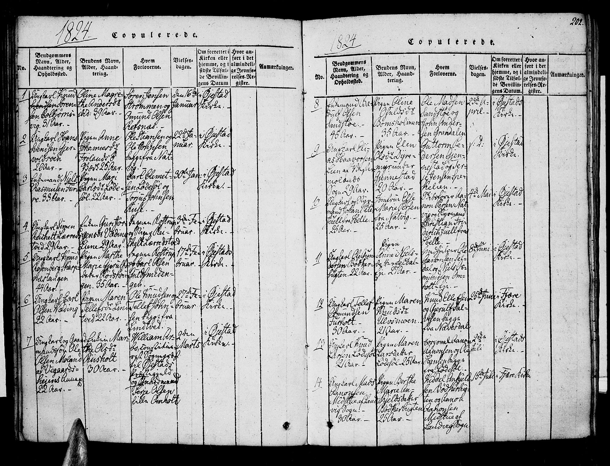 Øyestad sokneprestkontor, AV/SAK-1111-0049/F/Fa/L0012: Parish register (official) no. A 12, 1816-1827, p. 202