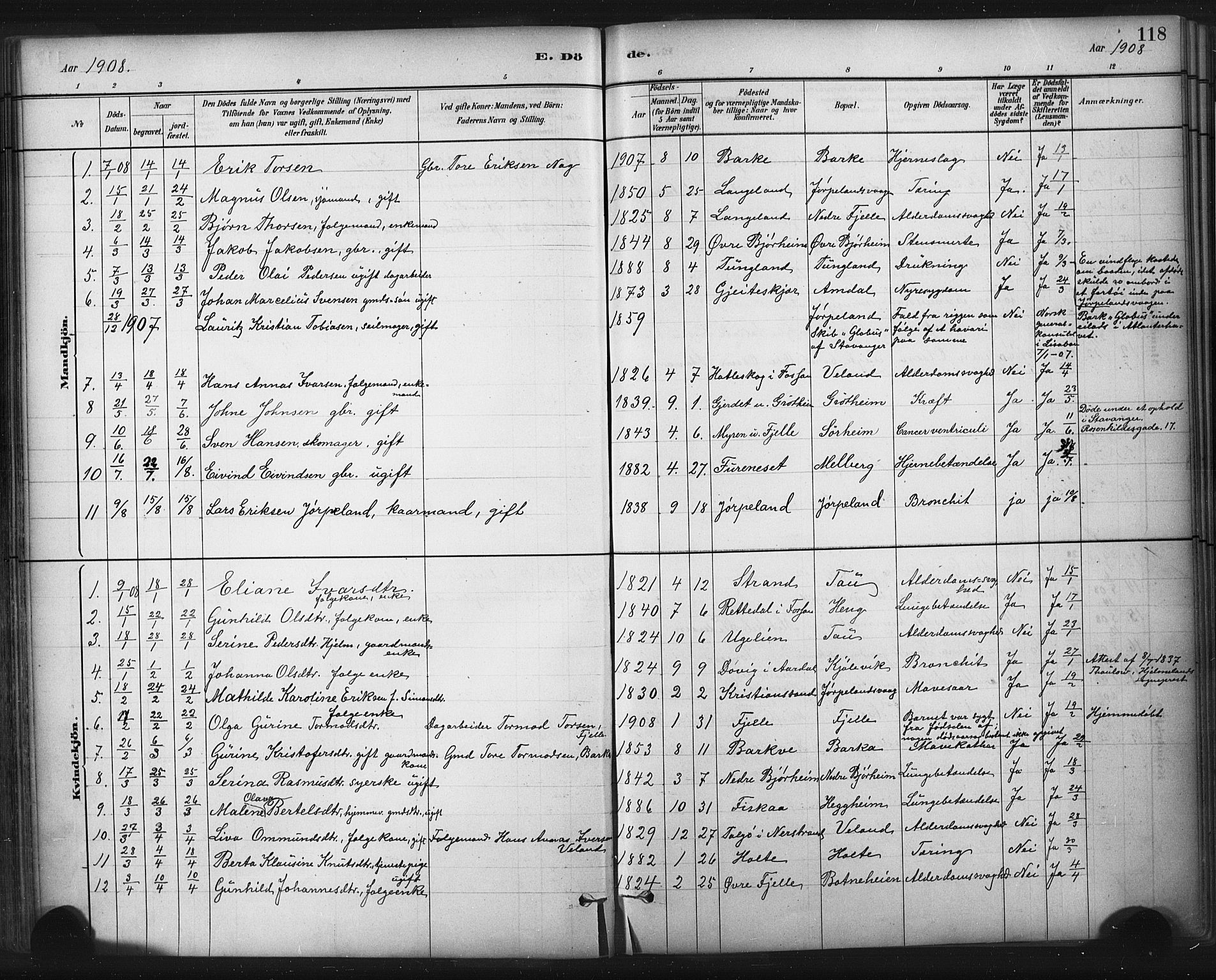 Strand sokneprestkontor, AV/SAST-A-101828/H/Ha/Haa/L0010: Parish register (official) no. A 10, 1882-1929, p. 118