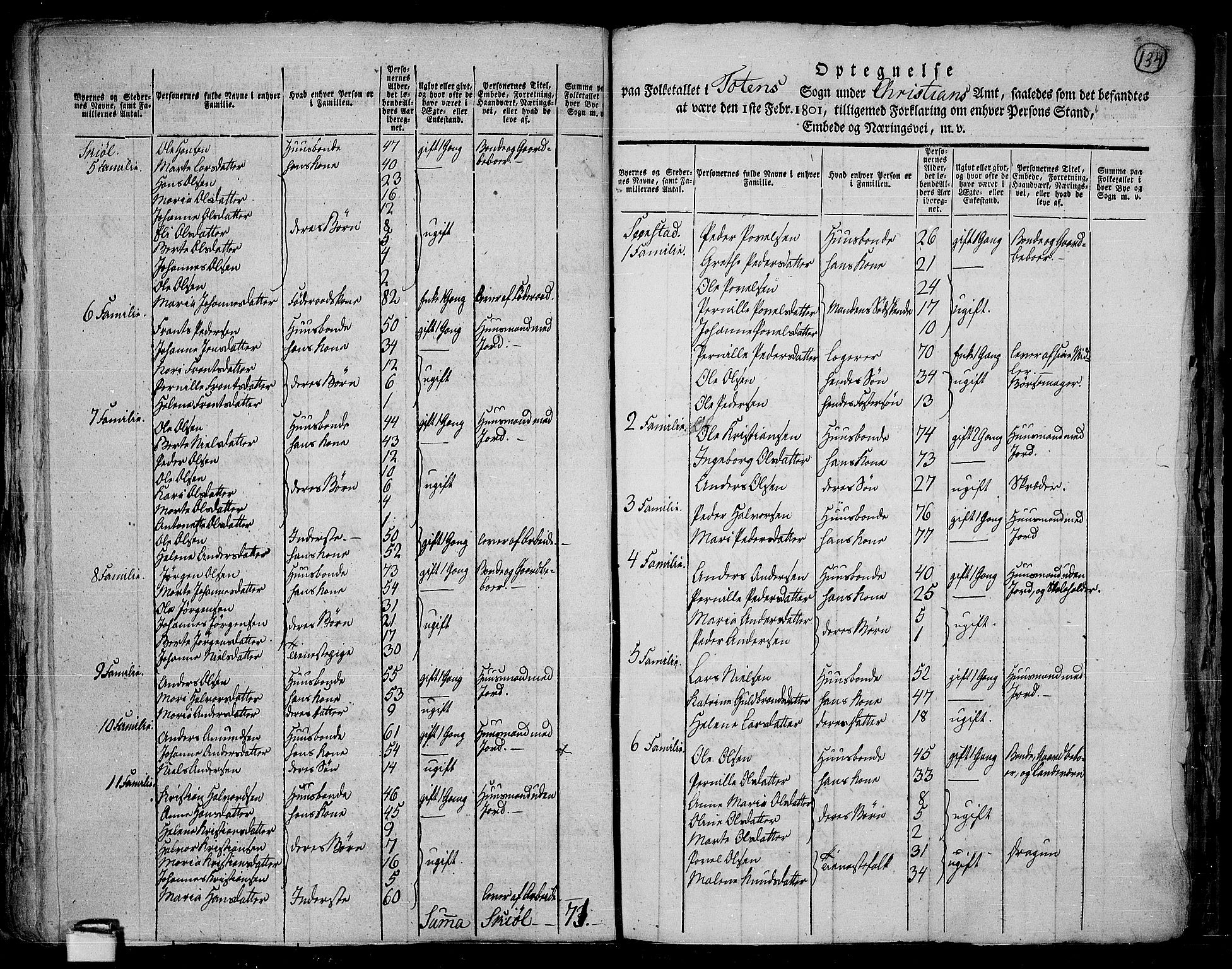 RA, 1801 census for 0528P Toten, 1801, p. 133b-134a