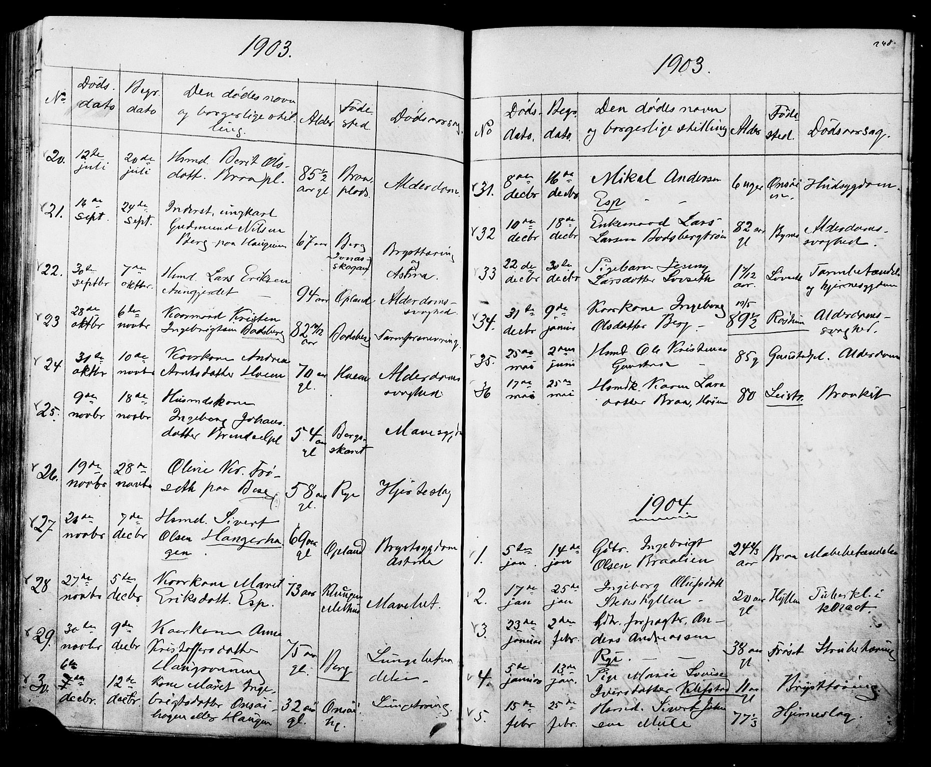 Ministerialprotokoller, klokkerbøker og fødselsregistre - Sør-Trøndelag, SAT/A-1456/612/L0387: Parish register (copy) no. 612C03, 1874-1908, p. 248