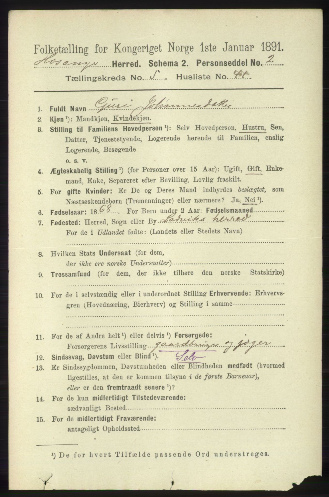RA, 1891 census for 1253 Hosanger, 1891, p. 2079