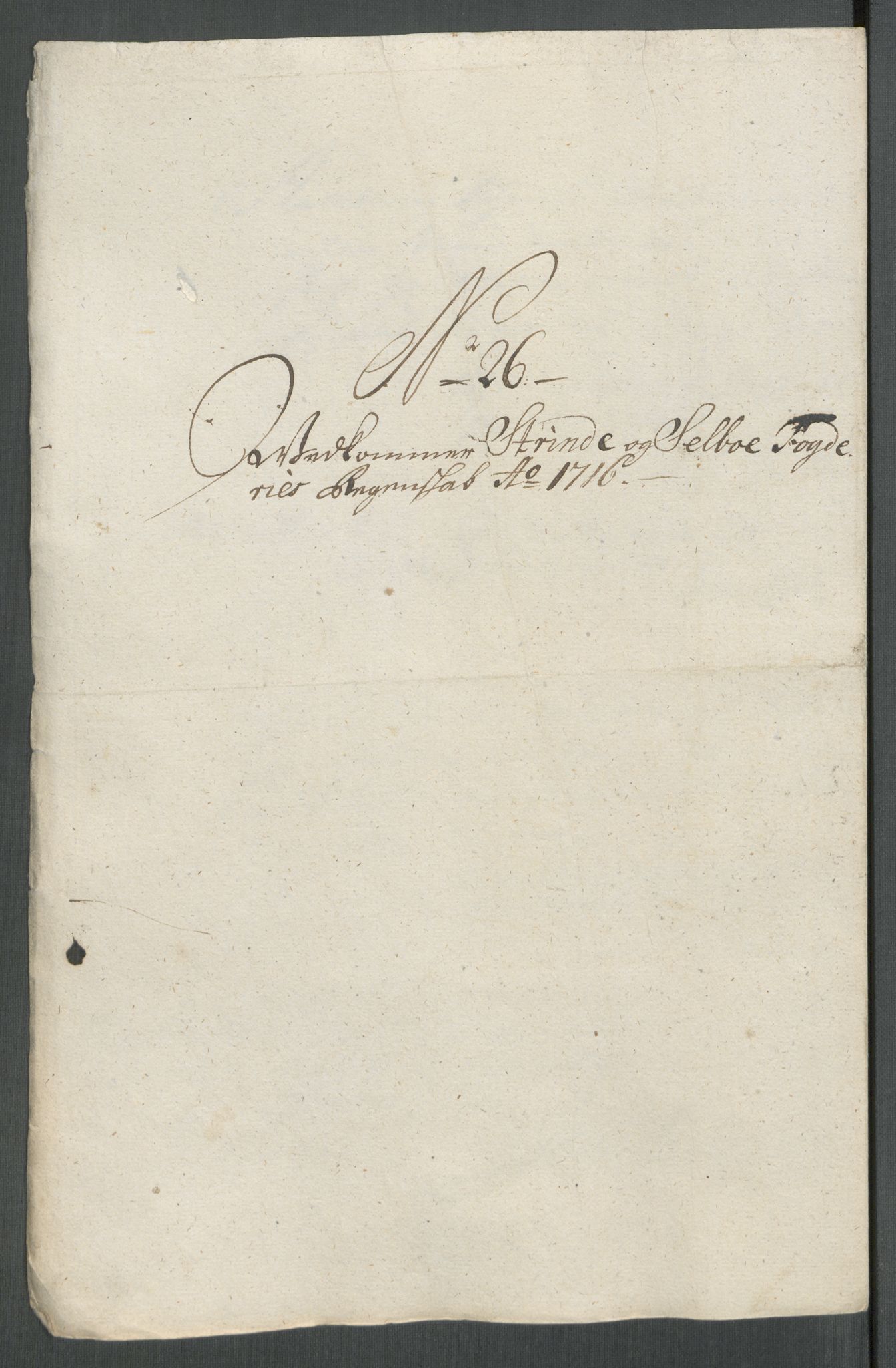 Rentekammeret inntil 1814, Reviderte regnskaper, Fogderegnskap, AV/RA-EA-4092/R61/L4115: Fogderegnskap Strinda og Selbu, 1715-1716, p. 446