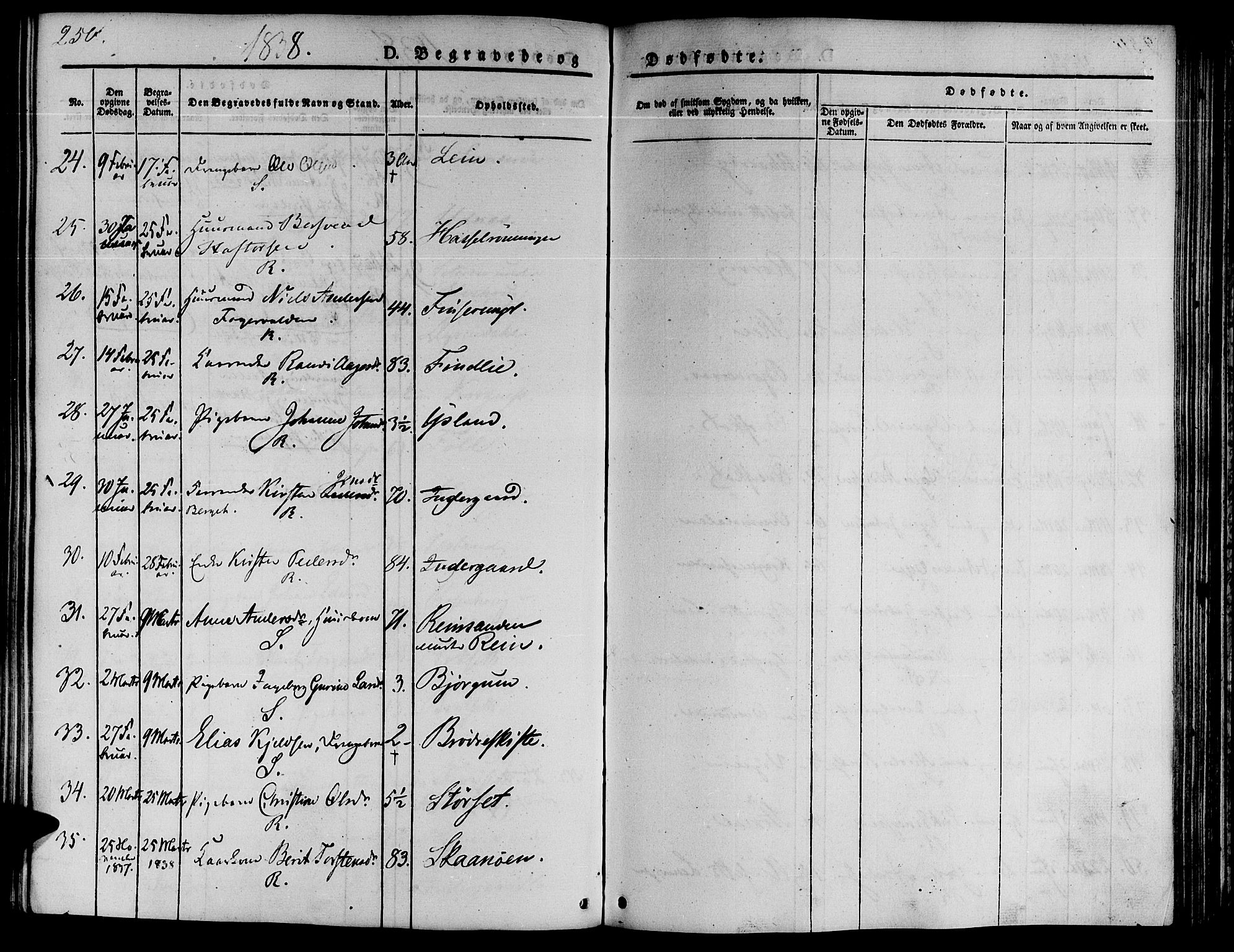 Ministerialprotokoller, klokkerbøker og fødselsregistre - Sør-Trøndelag, AV/SAT-A-1456/646/L0610: Parish register (official) no. 646A08, 1837-1847, p. 250