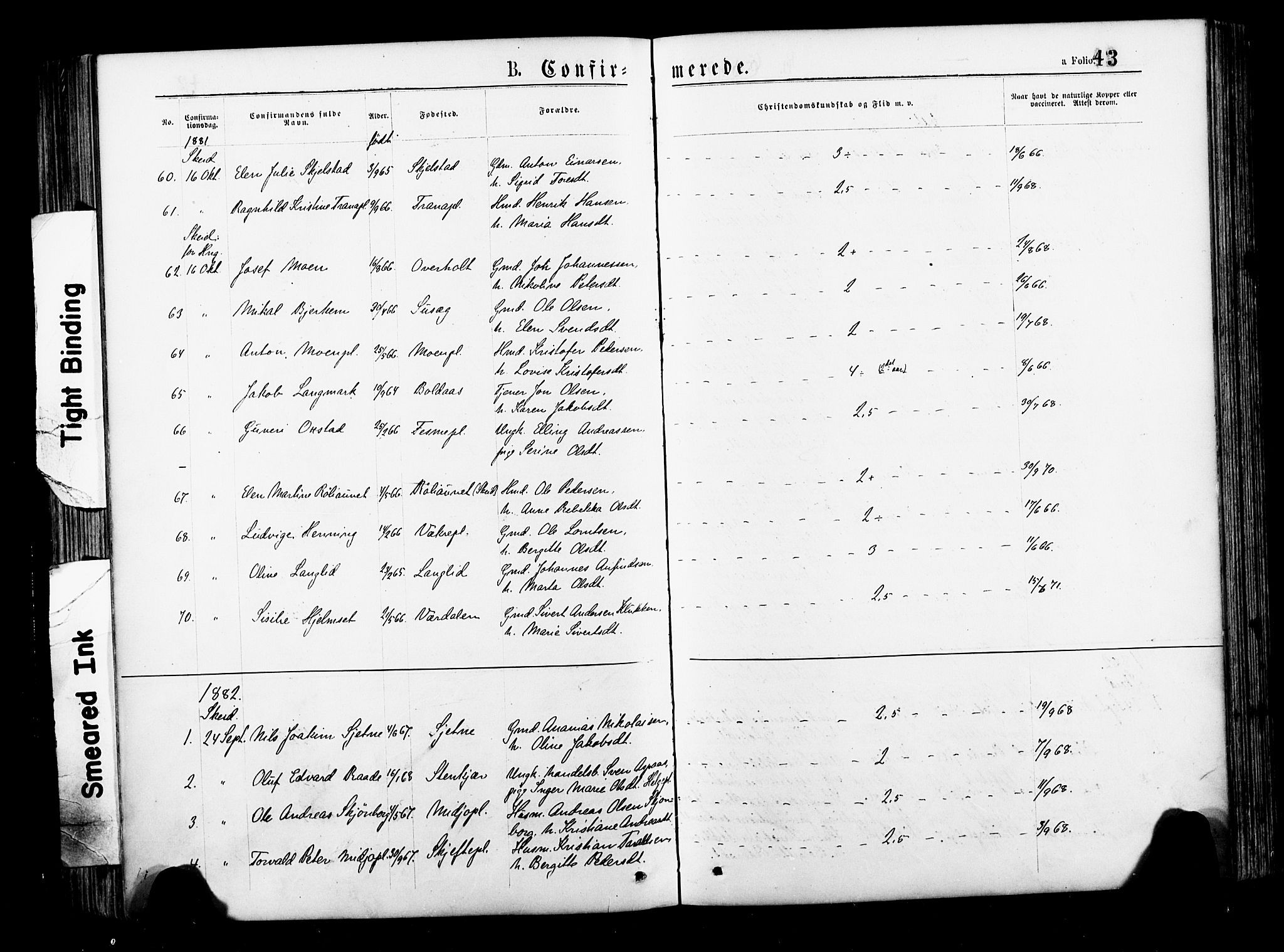 Ministerialprotokoller, klokkerbøker og fødselsregistre - Nord-Trøndelag, AV/SAT-A-1458/735/L0348: Parish register (official) no. 735A09 /1, 1873-1883, p. 43