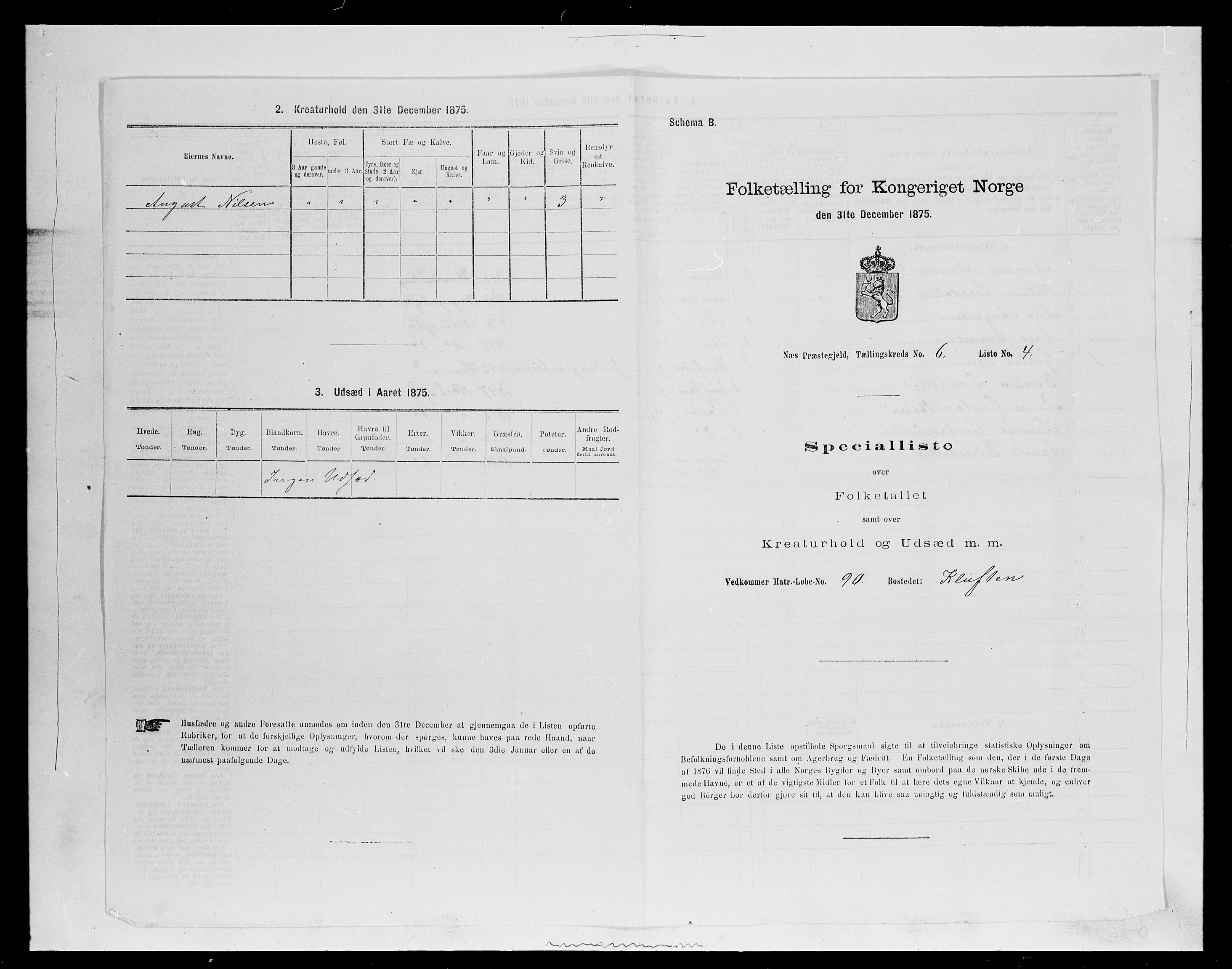 SAH, 1875 census for 0411P Nes, 1875, p. 954