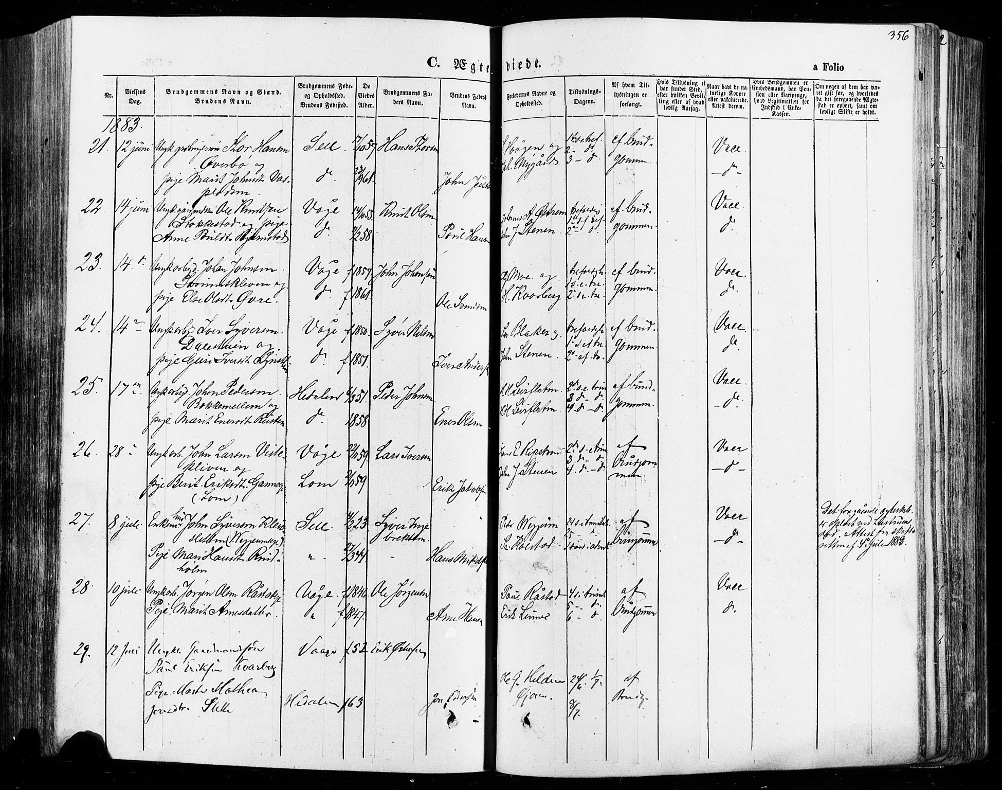 Vågå prestekontor, AV/SAH-PREST-076/H/Ha/Haa/L0007: Parish register (official) no. 7 /1, 1872-1886, p. 356