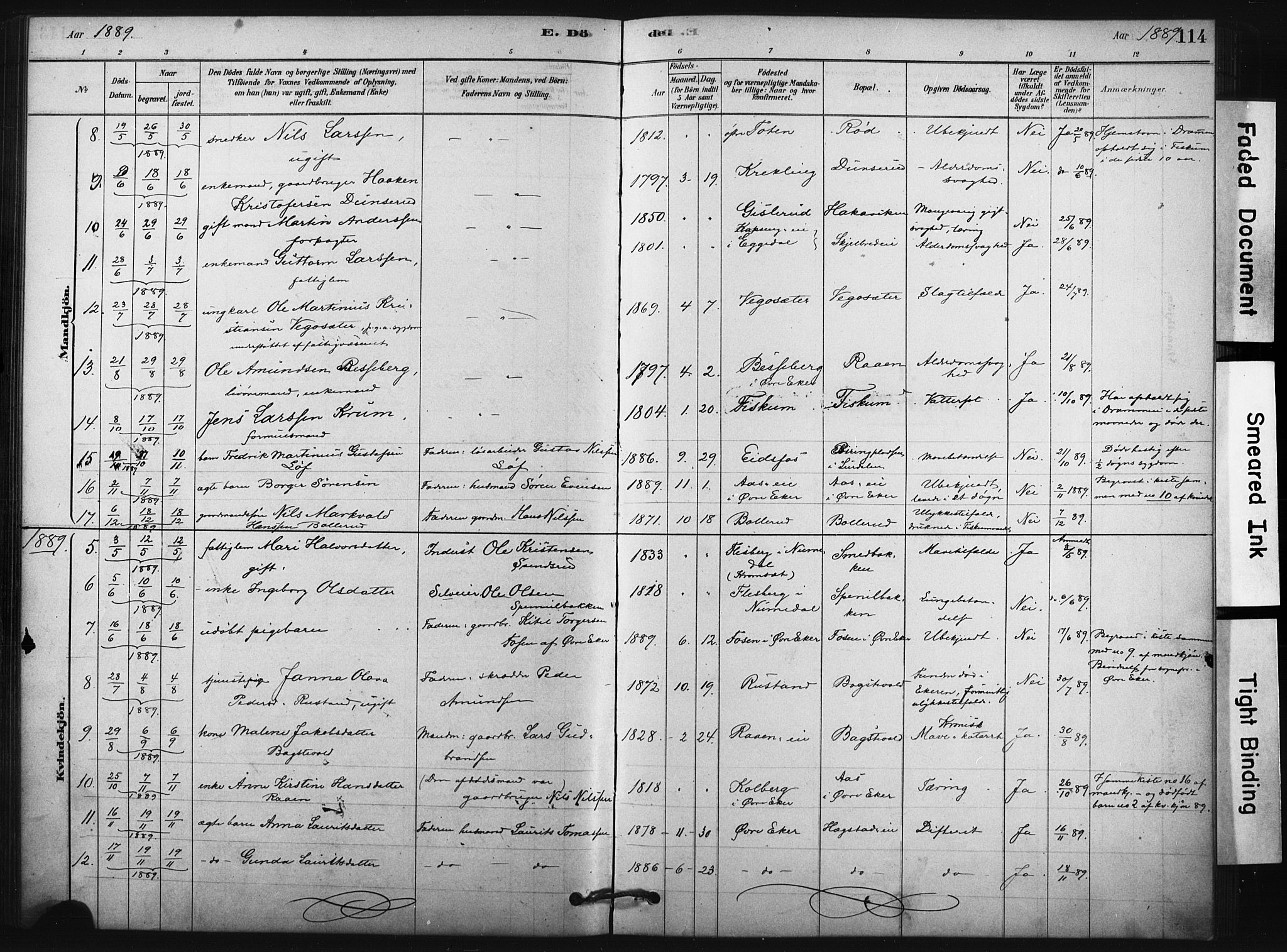 Fiskum kirkebøker, AV/SAKO-A-15/F/Fa/L0002: Parish register (official) no. 2, 1878-1890, p. 114