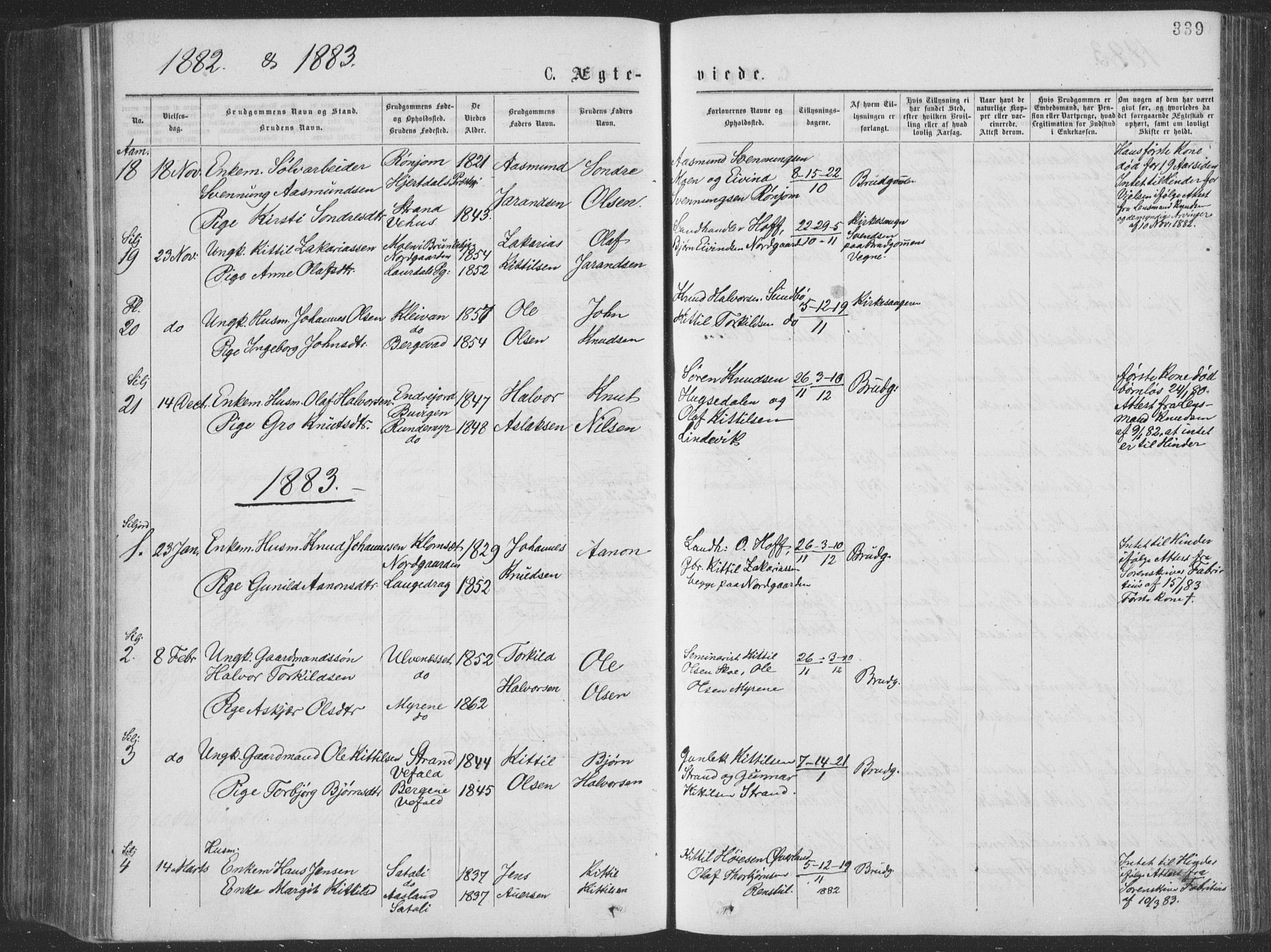 Seljord kirkebøker, SAKO/A-20/F/Fa/L0014: Parish register (official) no. I 14, 1877-1886, p. 339