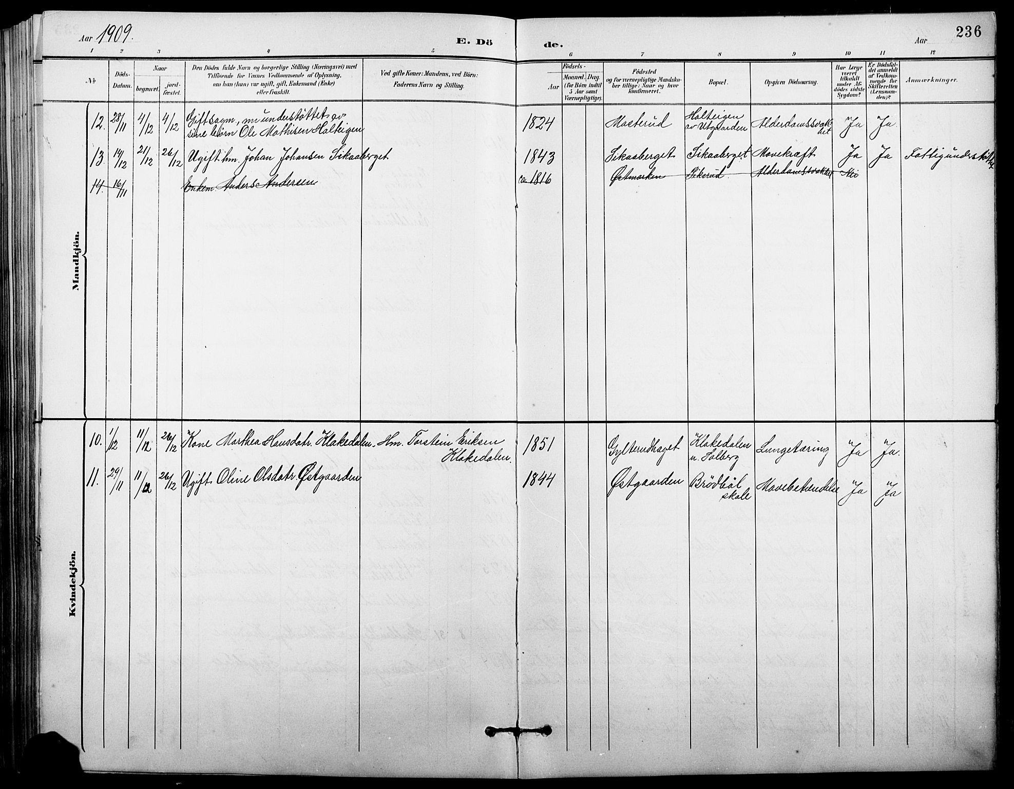 Vinger prestekontor, AV/SAH-PREST-024/H/Ha/Hab/L0004: Parish register (copy) no. 4, 1895-1920, p. 236