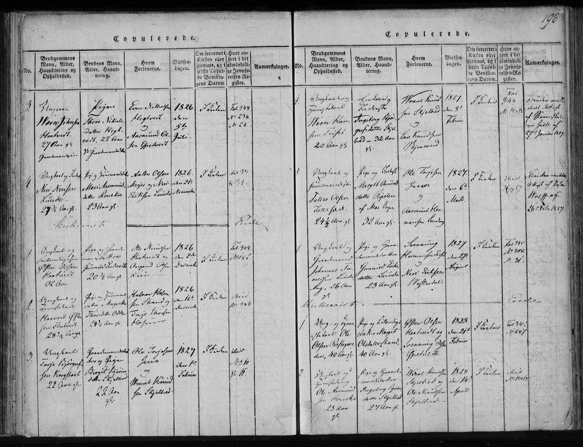 Lårdal kirkebøker, SAKO/A-284/F/Fa/L0005: Parish register (official) no. I 5, 1815-1860, p. 196