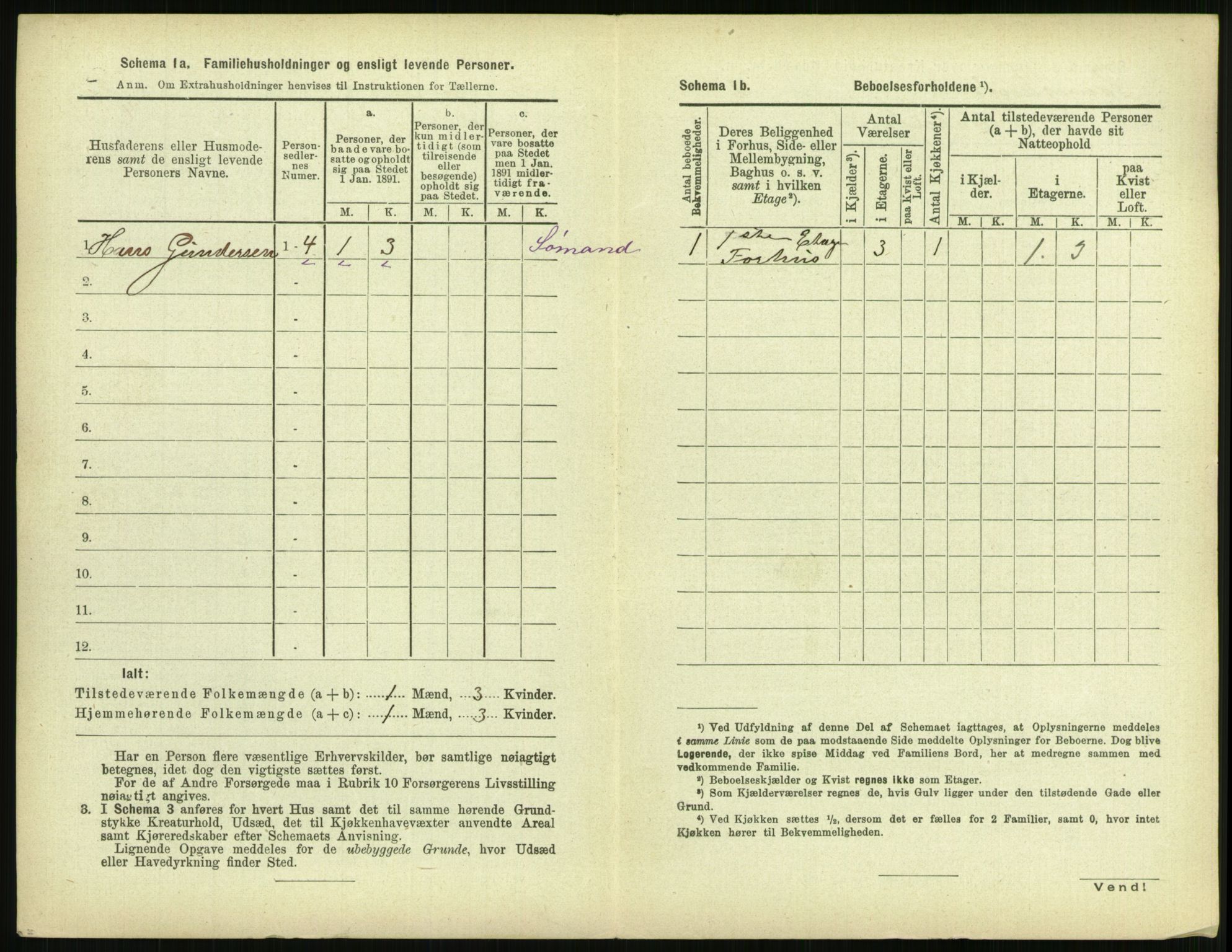 RA, 1891 census for 0802 Langesund, 1891, p. 115