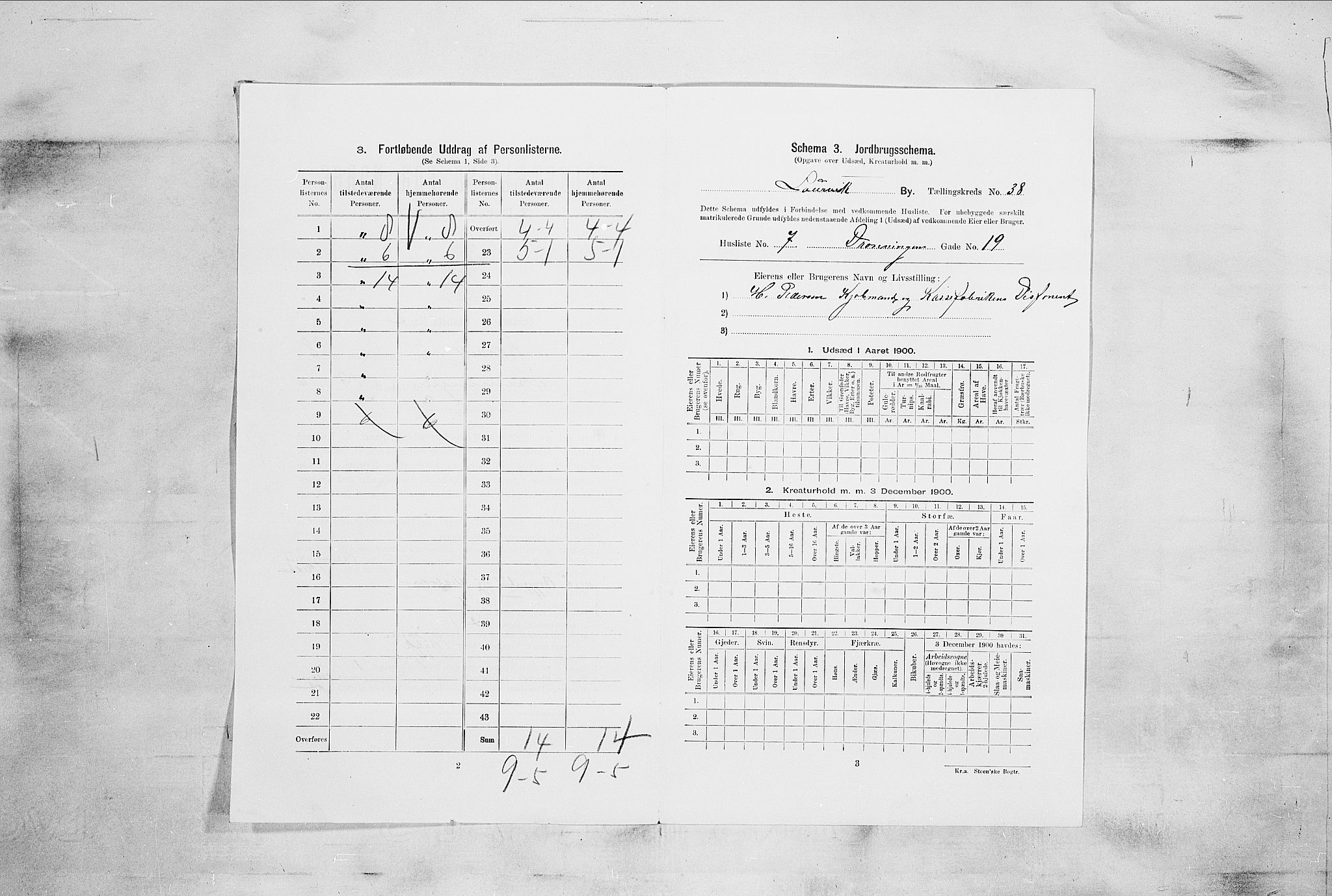 RA, 1900 census for Larvik, 1900, p. 4988