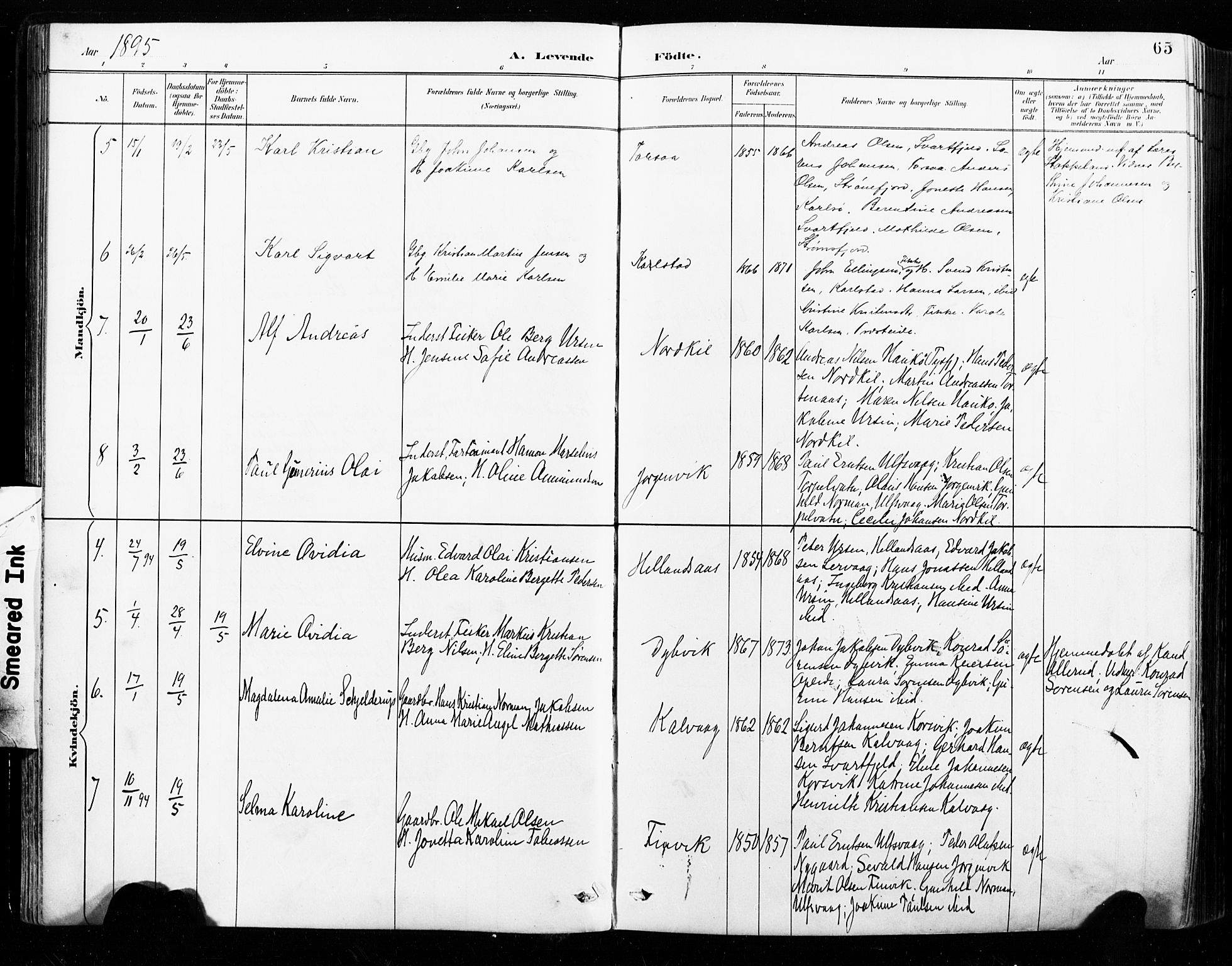 Ministerialprotokoller, klokkerbøker og fødselsregistre - Nordland, AV/SAT-A-1459/859/L0847: Parish register (official) no. 859A07, 1890-1899, p. 65