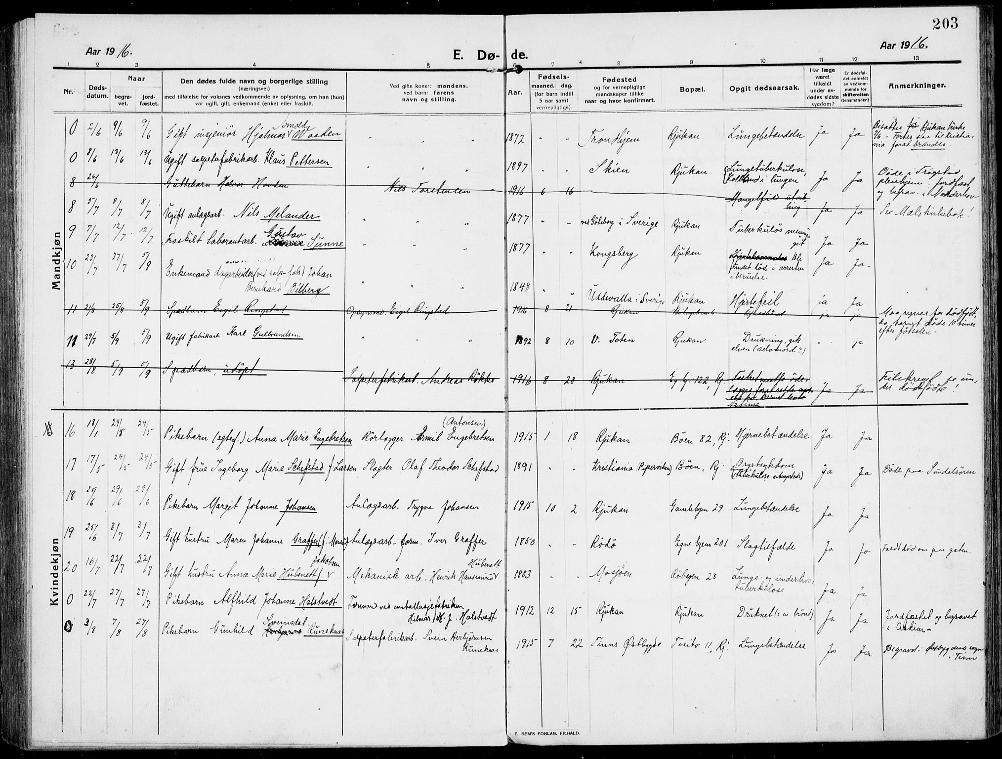 Rjukan kirkebøker, SAKO/A-294/F/Fa/L0002: Parish register (official) no. 2, 1912-1917, p. 203