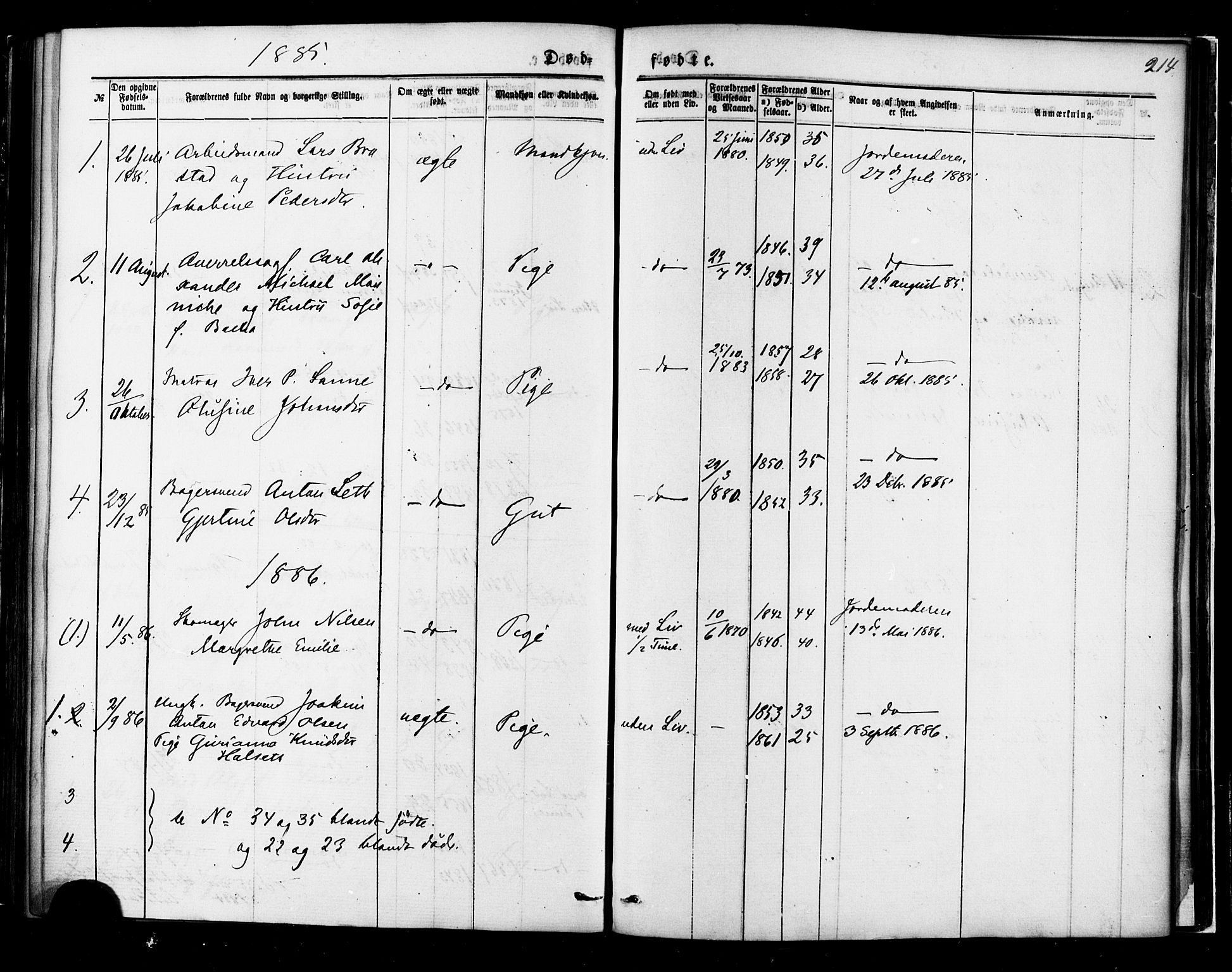 Ministerialprotokoller, klokkerbøker og fødselsregistre - Møre og Romsdal, AV/SAT-A-1454/558/L0691: Parish register (official) no. 558A05, 1873-1886, p. 214