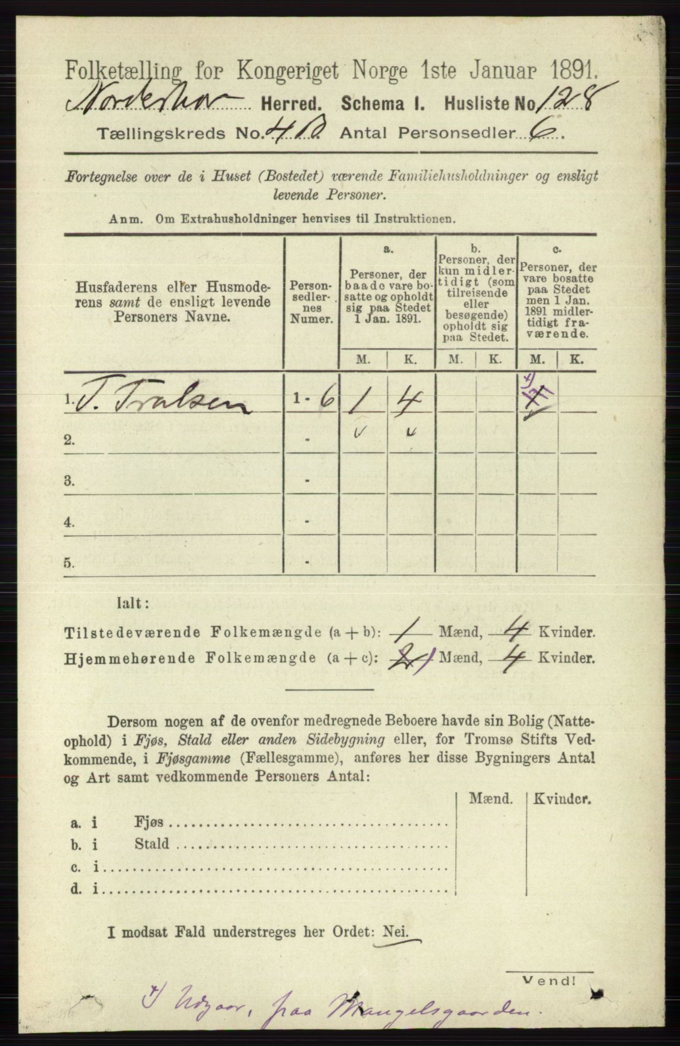 RA, 1891 census for 0613 Norderhov, 1891, p. 1996