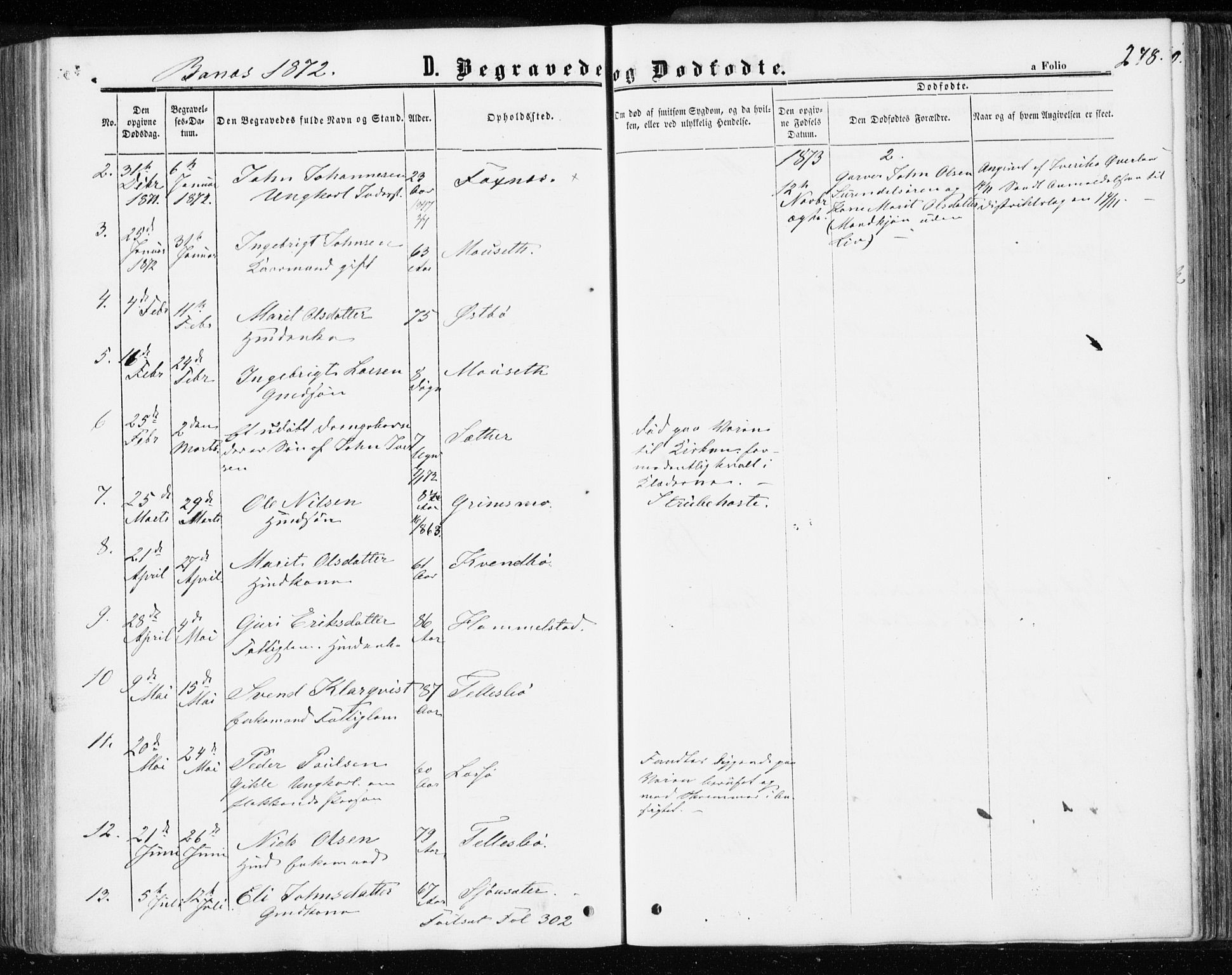 Ministerialprotokoller, klokkerbøker og fødselsregistre - Møre og Romsdal, AV/SAT-A-1454/595/L1045: Parish register (official) no. 595A07, 1863-1873, p. 248