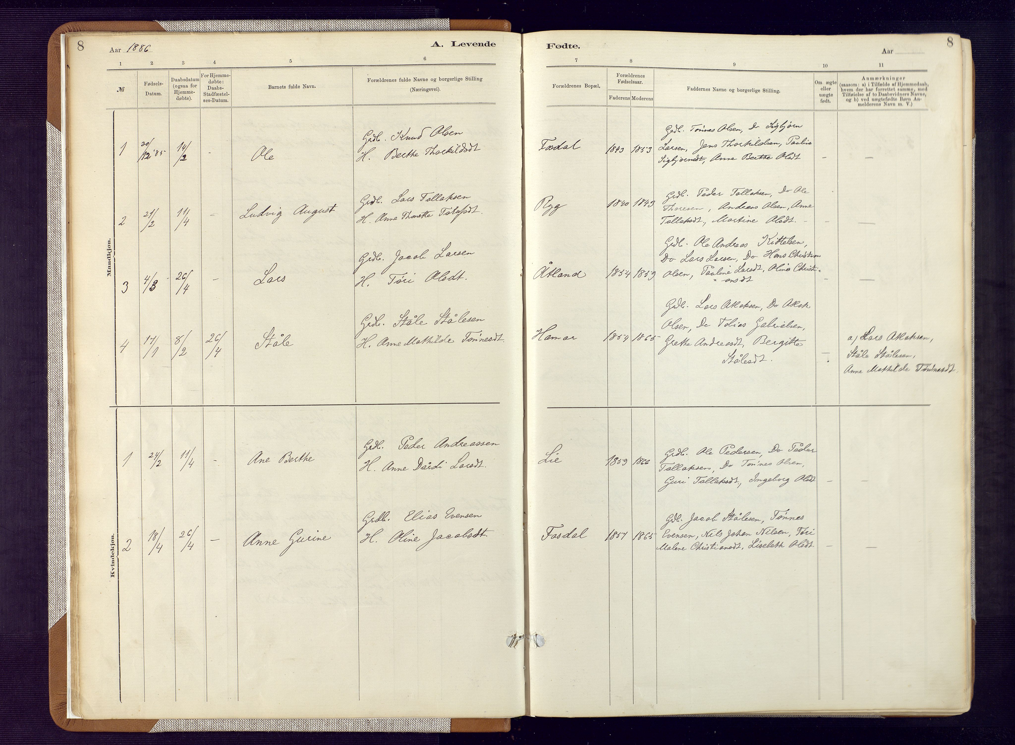 Bakke sokneprestkontor, SAK/1111-0002/F/Fa/Fab/L0003: Parish register (official) no. A 3, 1884-1921, p. 8