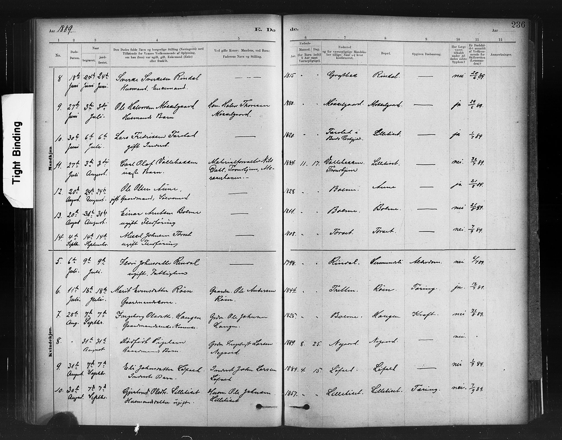 Ministerialprotokoller, klokkerbøker og fødselsregistre - Møre og Romsdal, AV/SAT-A-1454/598/L1069: Parish register (official) no. 598A03, 1882-1895, p. 236