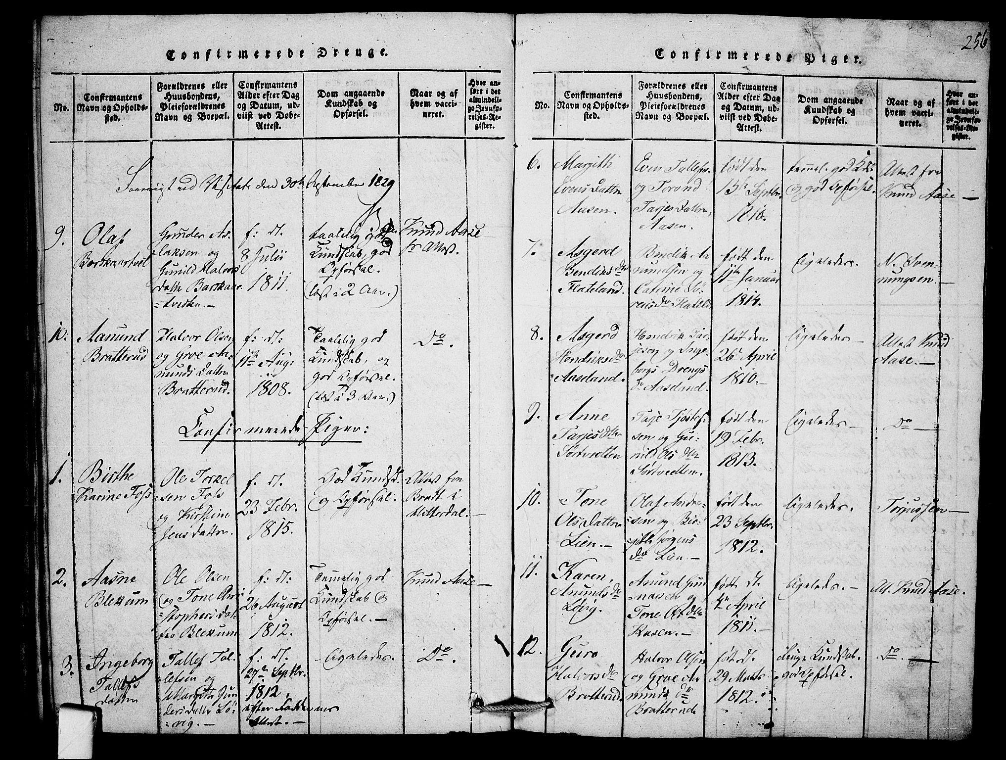 Mo kirkebøker, SAKO/A-286/F/Fb/L0001: Parish register (official) no. II 1, 1814-1844, p. 256