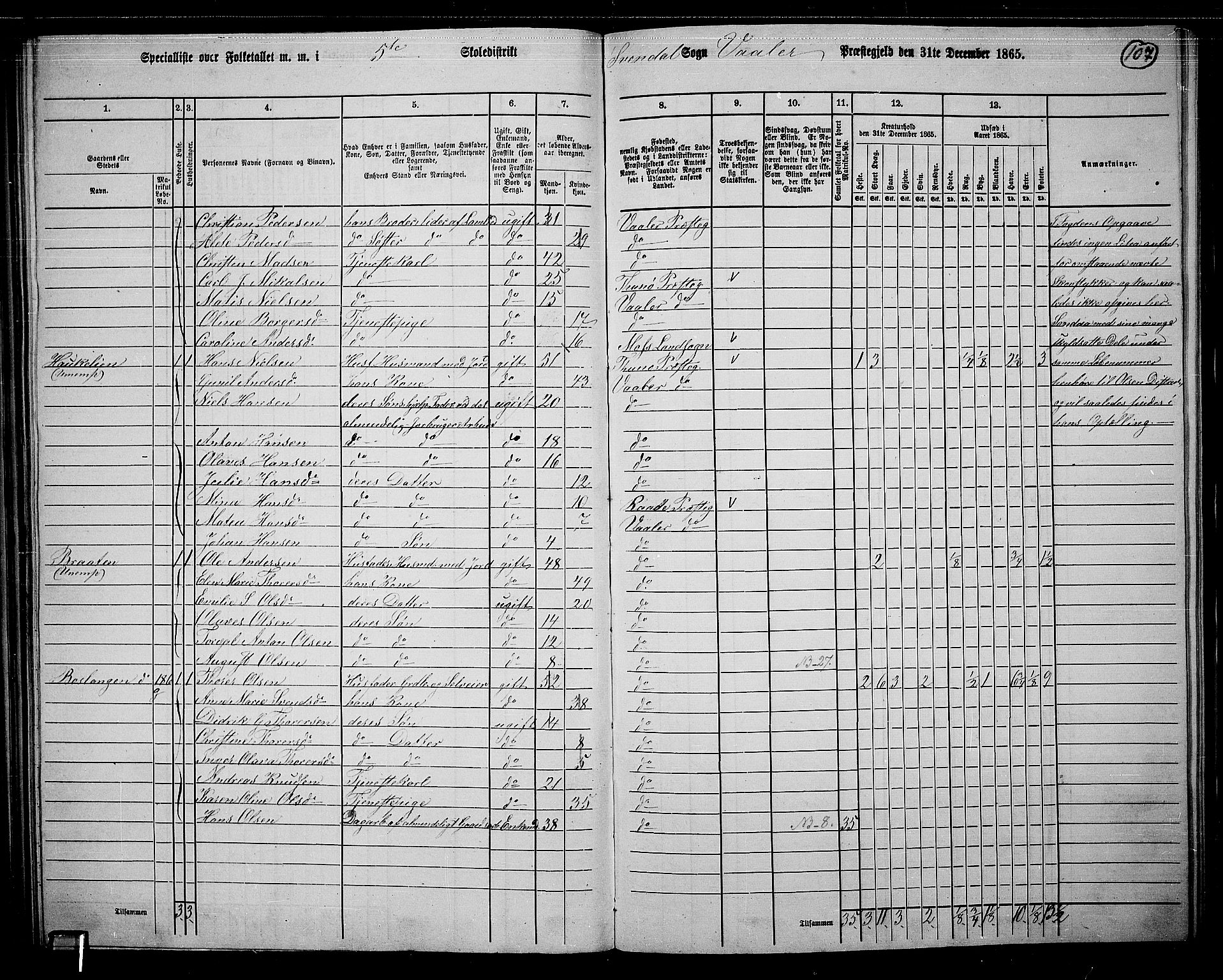 RA, 1865 census for Våler, 1865, p. 93