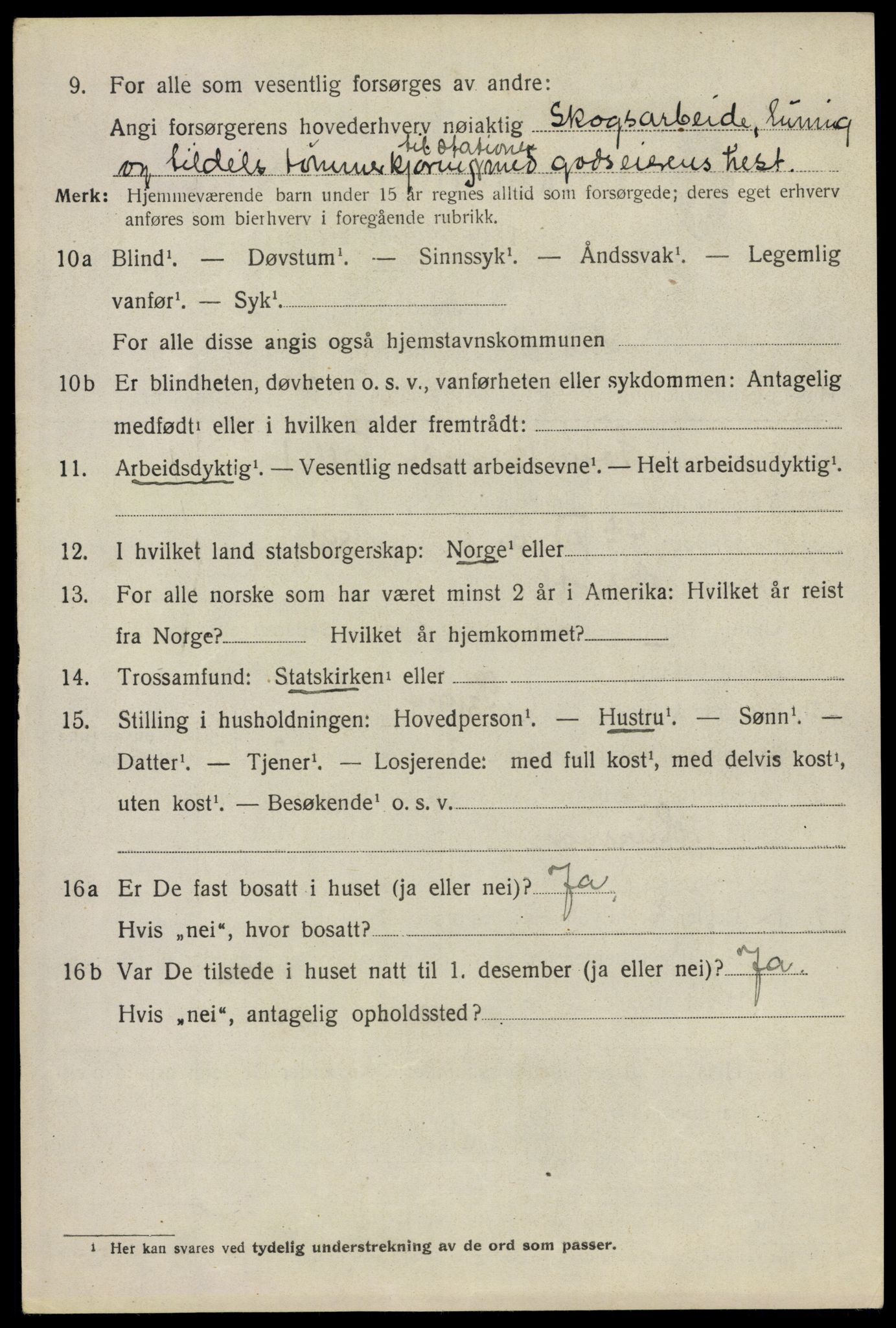 SAO, 1920 census for Nes, 1920, p. 17761