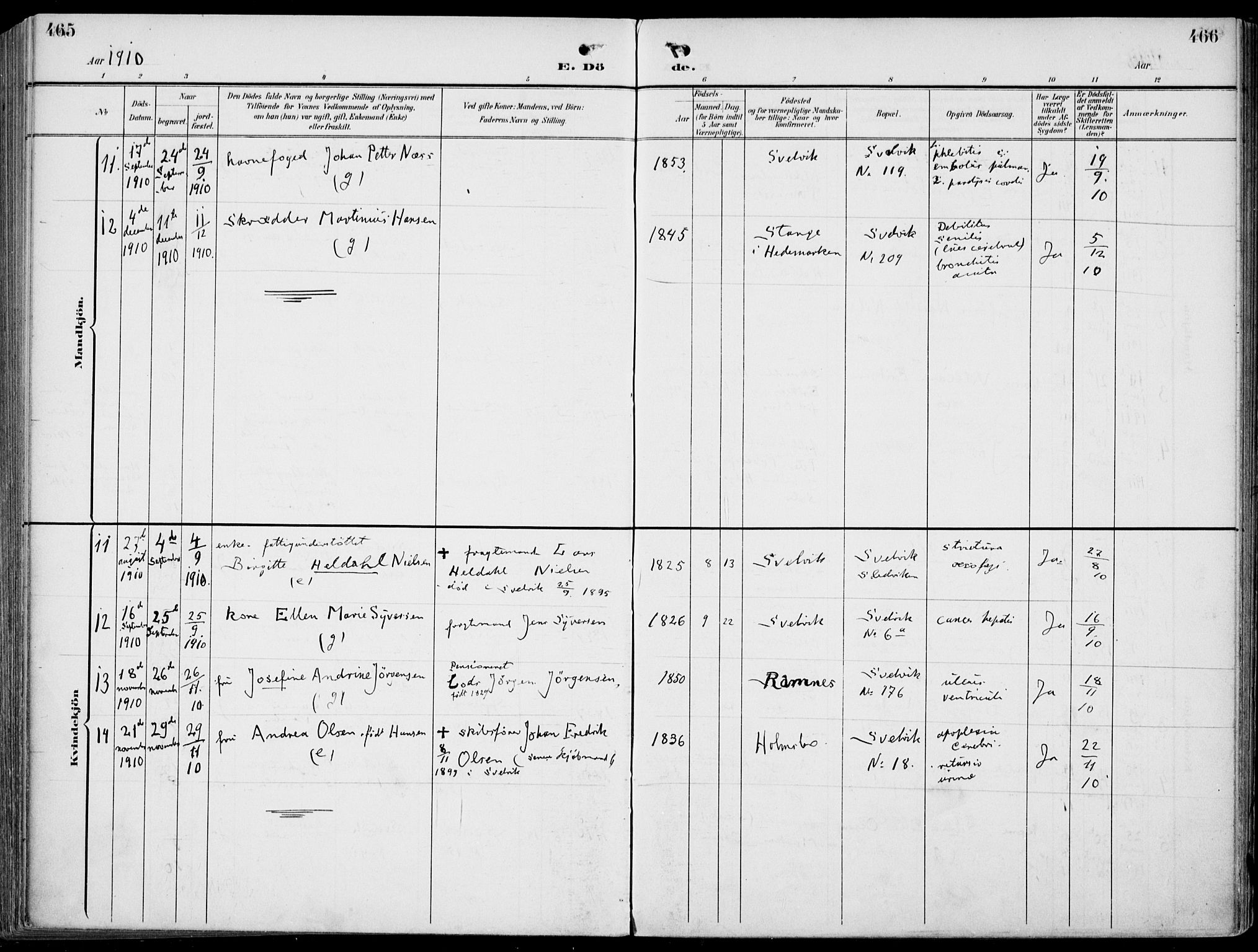 Strømm kirkebøker, SAKO/A-322/F/Fb/L0002: Parish register (official) no. II 2, 1900-1919, p. 465-466
