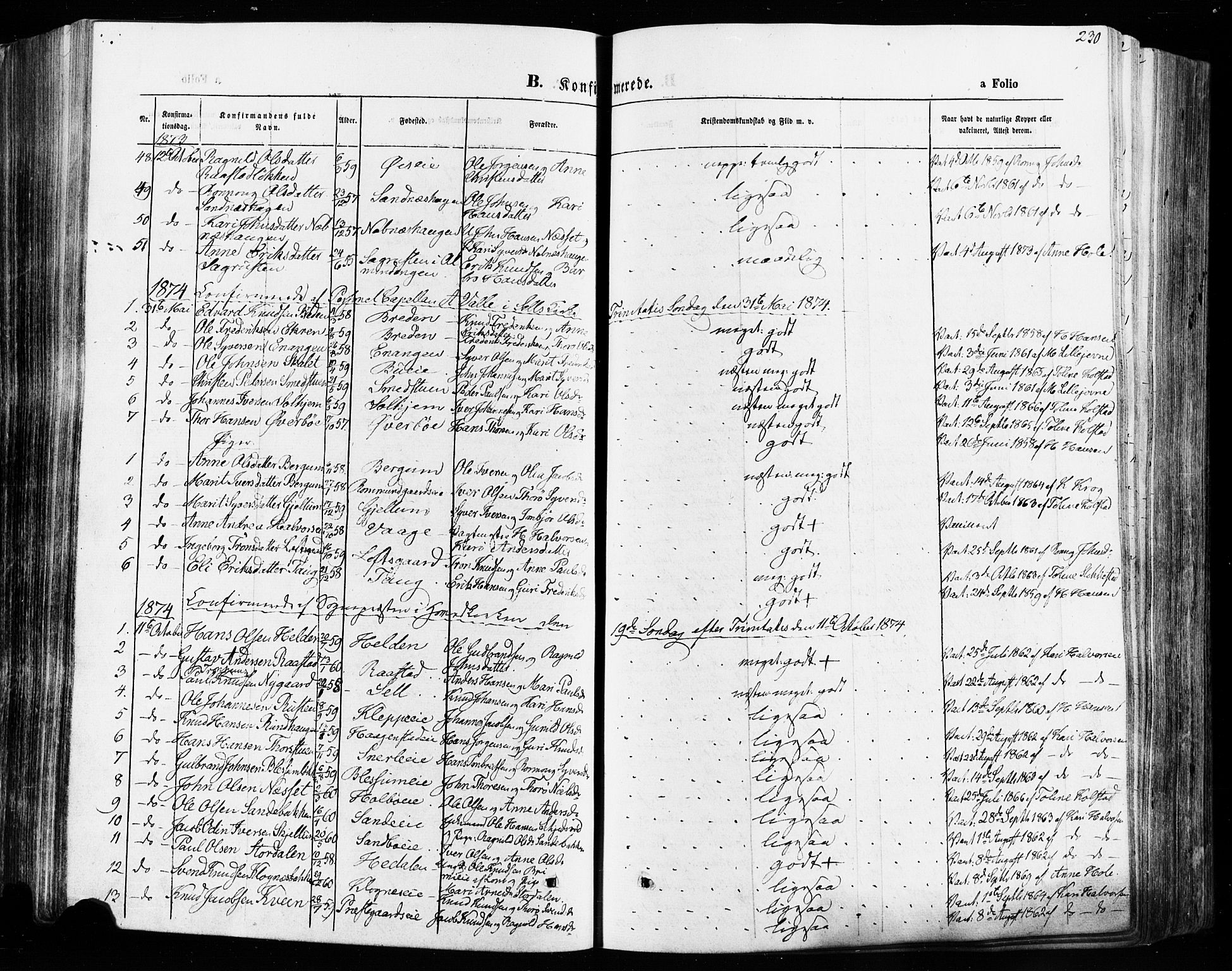 Vågå prestekontor, SAH/PREST-076/H/Ha/Haa/L0007: Parish register (official) no. 7 /1, 1872-1886, p. 230