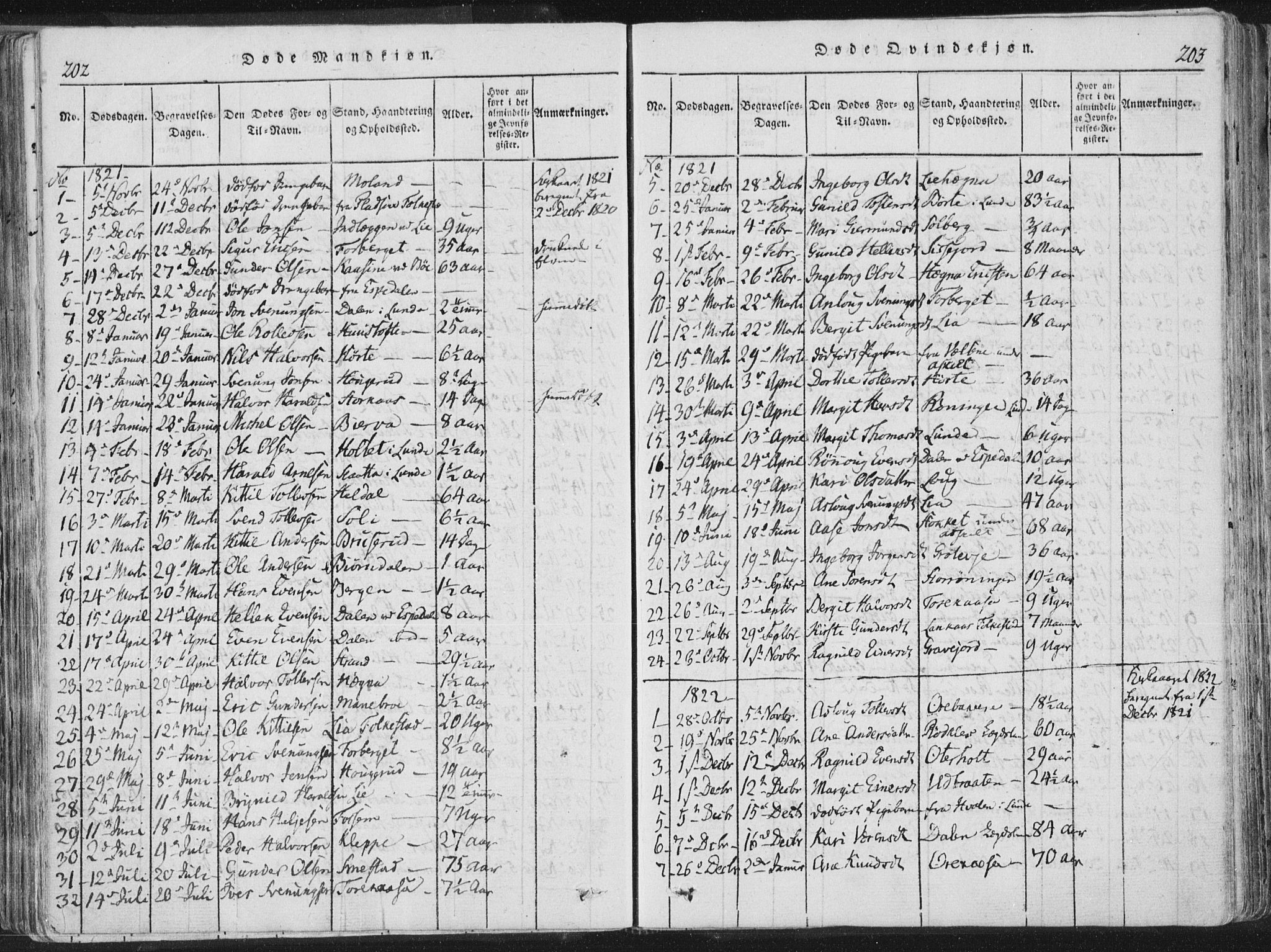 Bø kirkebøker, SAKO/A-257/F/Fa/L0006: Parish register (official) no. 6, 1815-1831, p. 202-203