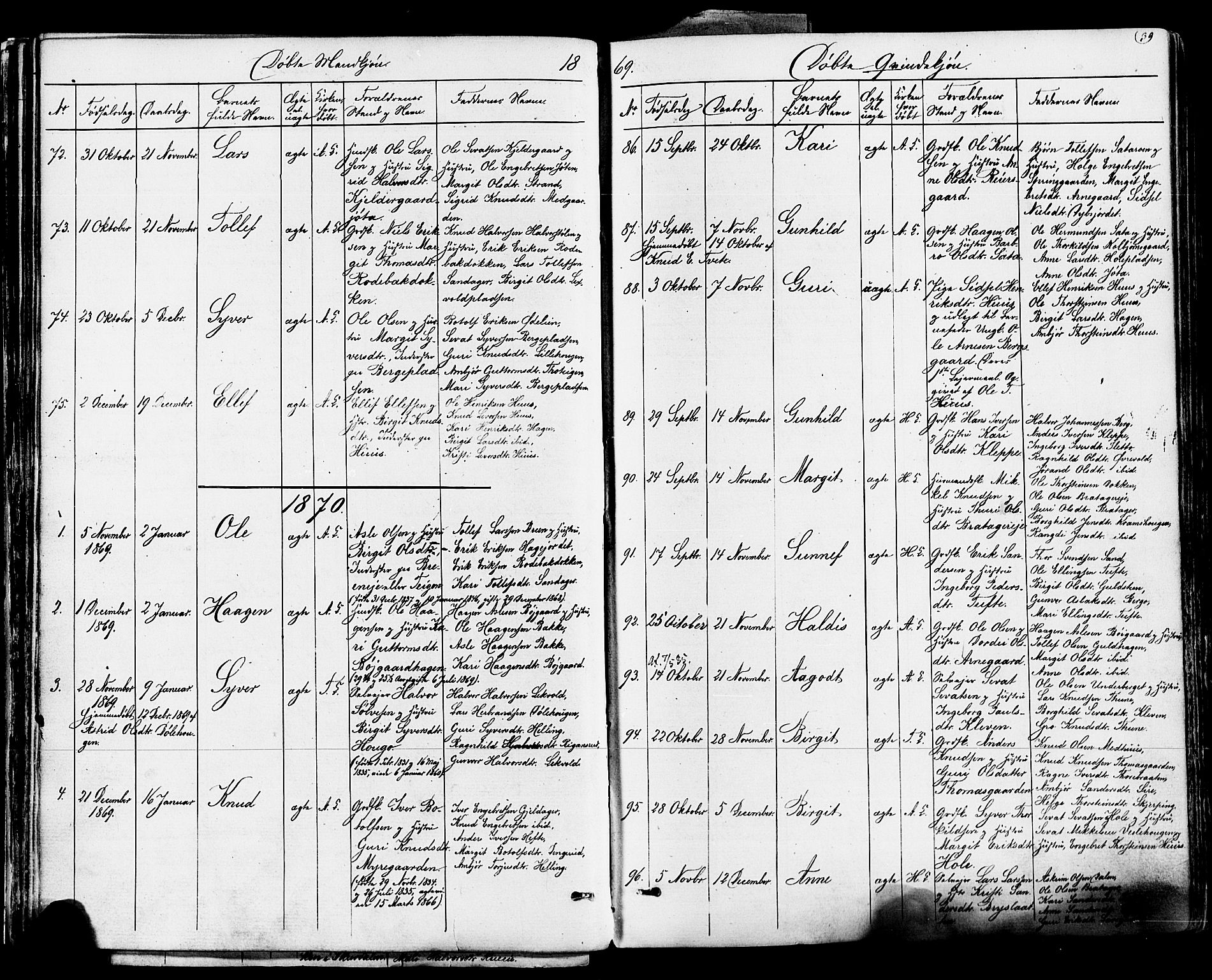 Ål kirkebøker, SAKO/A-249/F/Fa/L0007: Parish register (official) no. I 7, 1865-1881, p. 39
