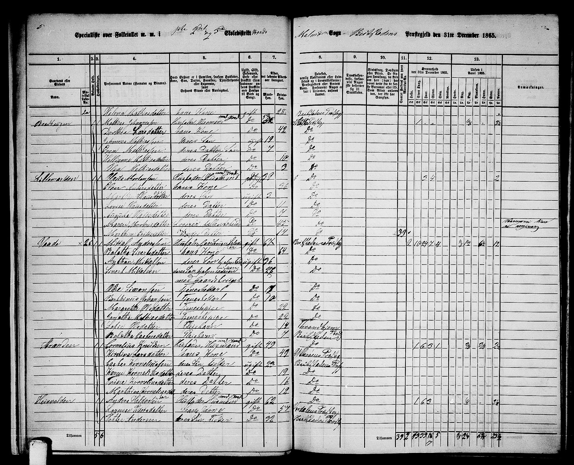 RA, 1865 census for Beitstad, 1865, p. 17