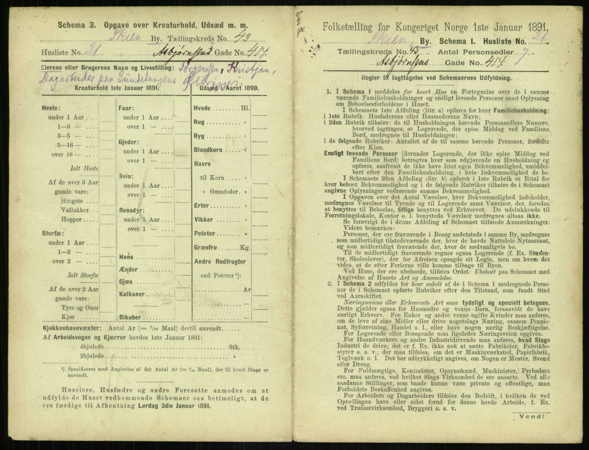 RA, 1891 census for 0806 Skien, 1891, p. 1524