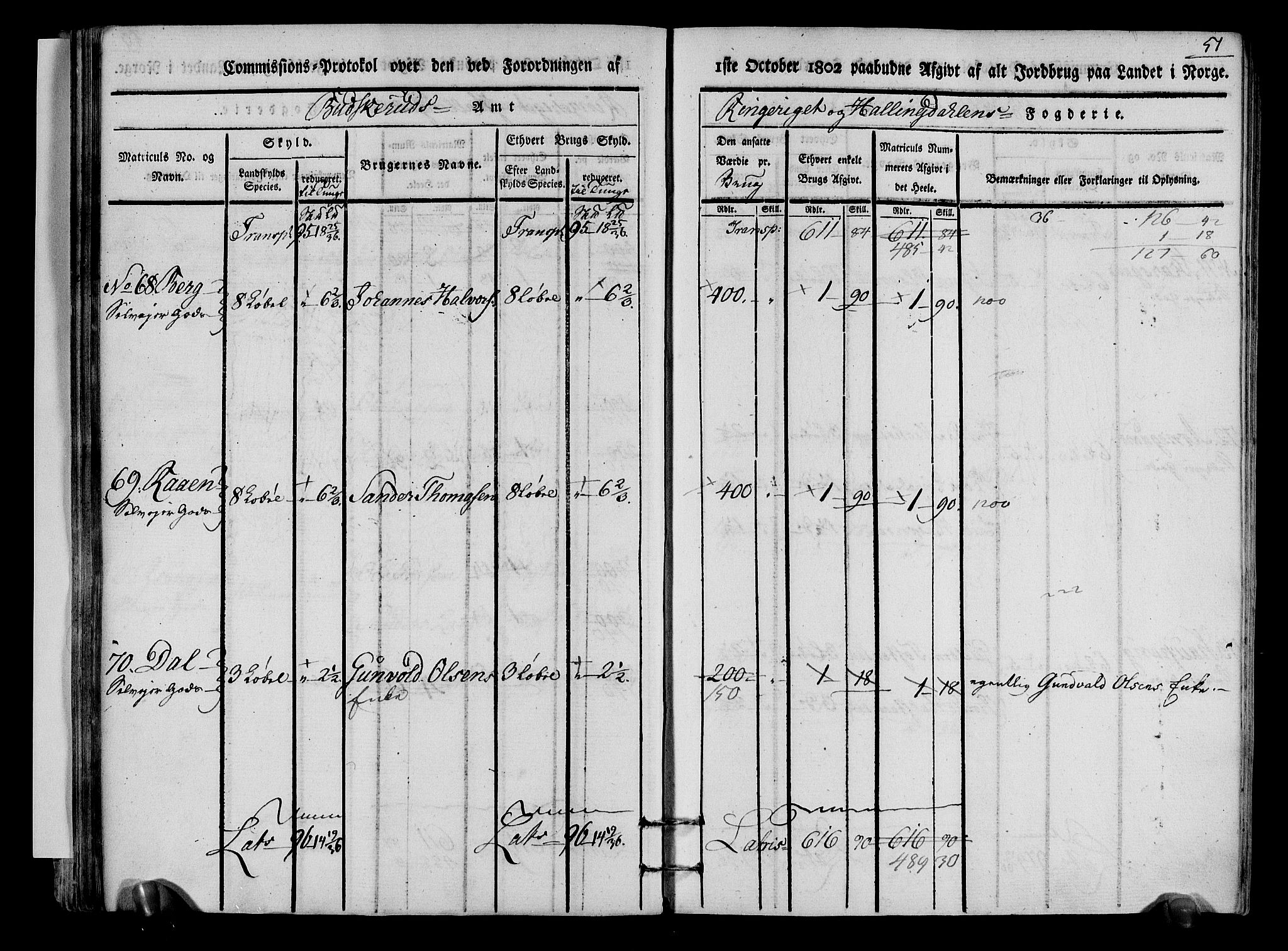 Rentekammeret inntil 1814, Realistisk ordnet avdeling, AV/RA-EA-4070/N/Ne/Nea/L0048: Ringerike og Hallingdal fogderi. Kommisjonsprotokoll for Ål prestegjeld, 1803, p. 54