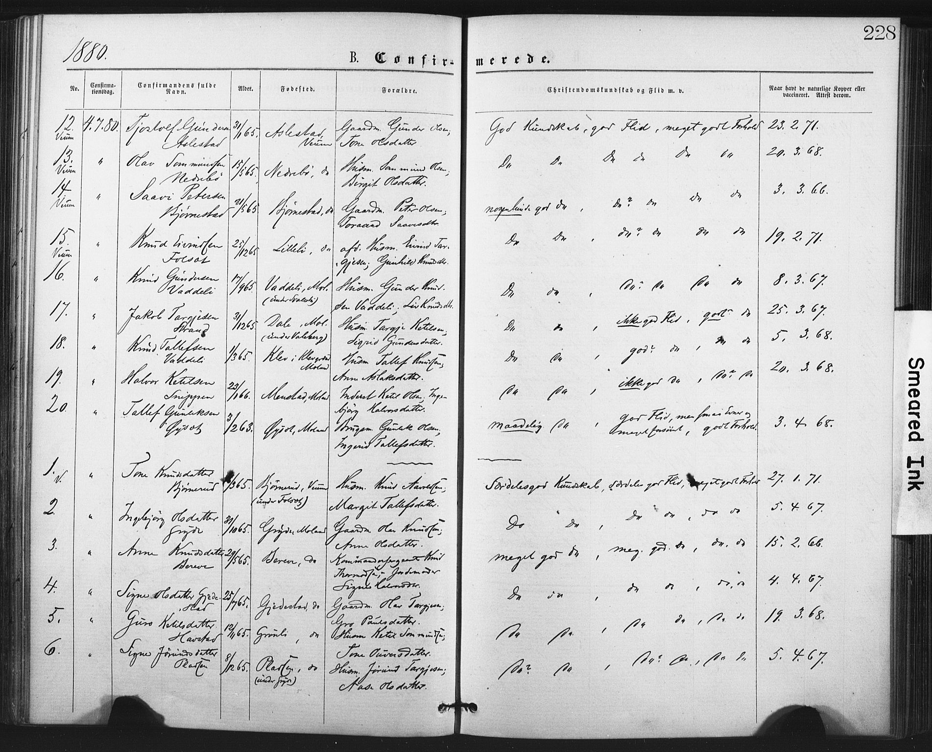 Fyresdal kirkebøker, SAKO/A-263/F/Fa/L0006: Parish register (official) no. I 6, 1872-1886, p. 228