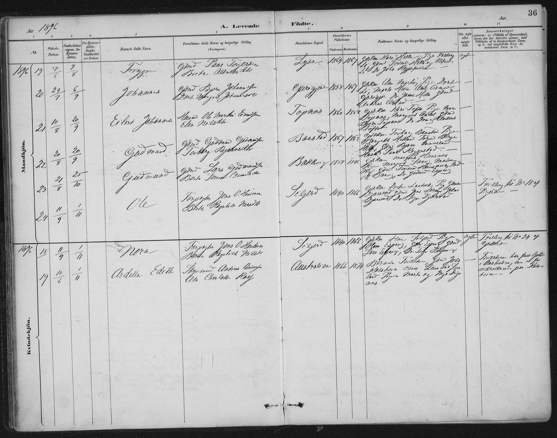 Nedstrand sokneprestkontor, AV/SAST-A-101841/01/IV: Parish register (official) no. A 12, 1887-1915, p. 36