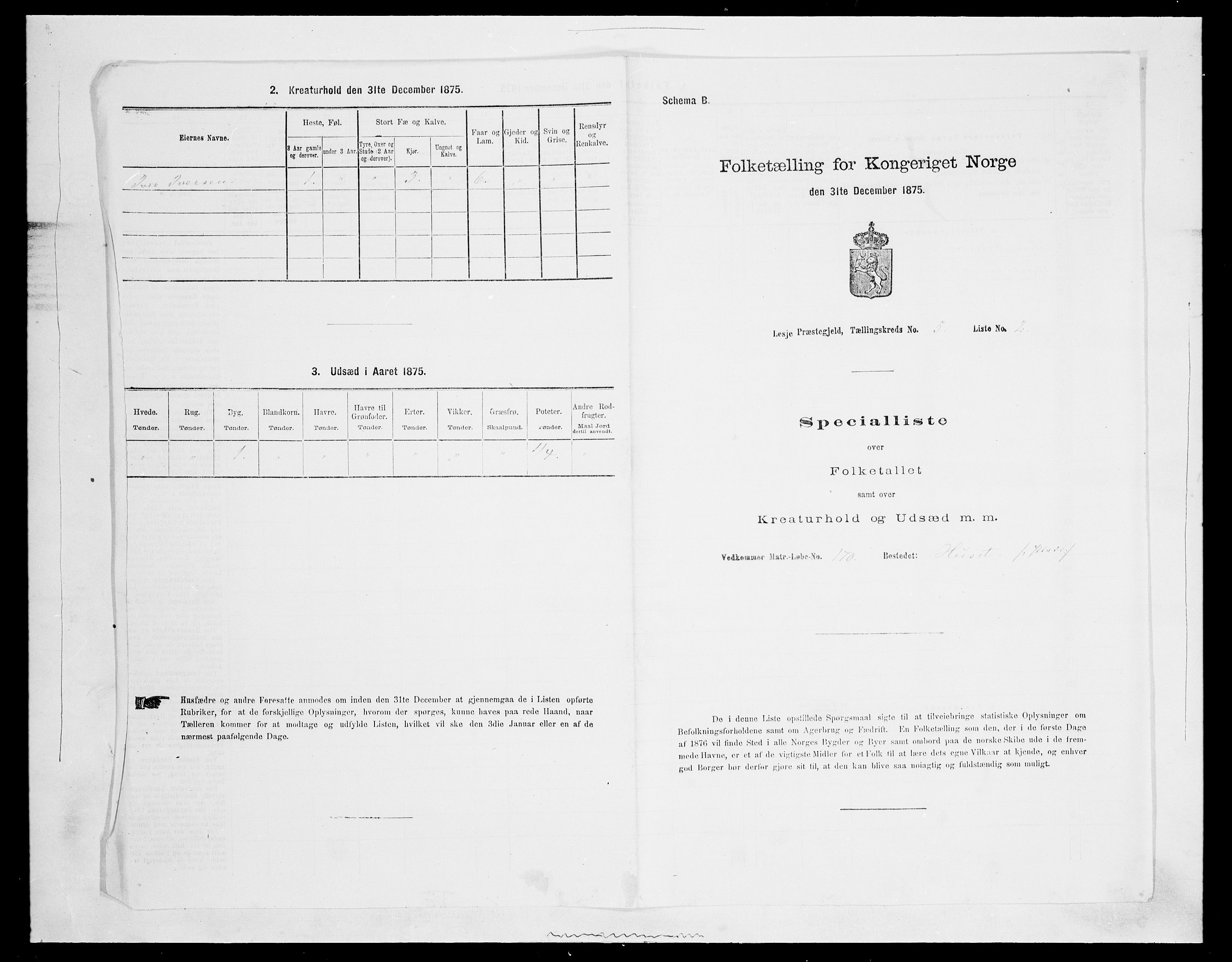 SAH, 1875 census for 0512P Lesja, 1875, p. 729