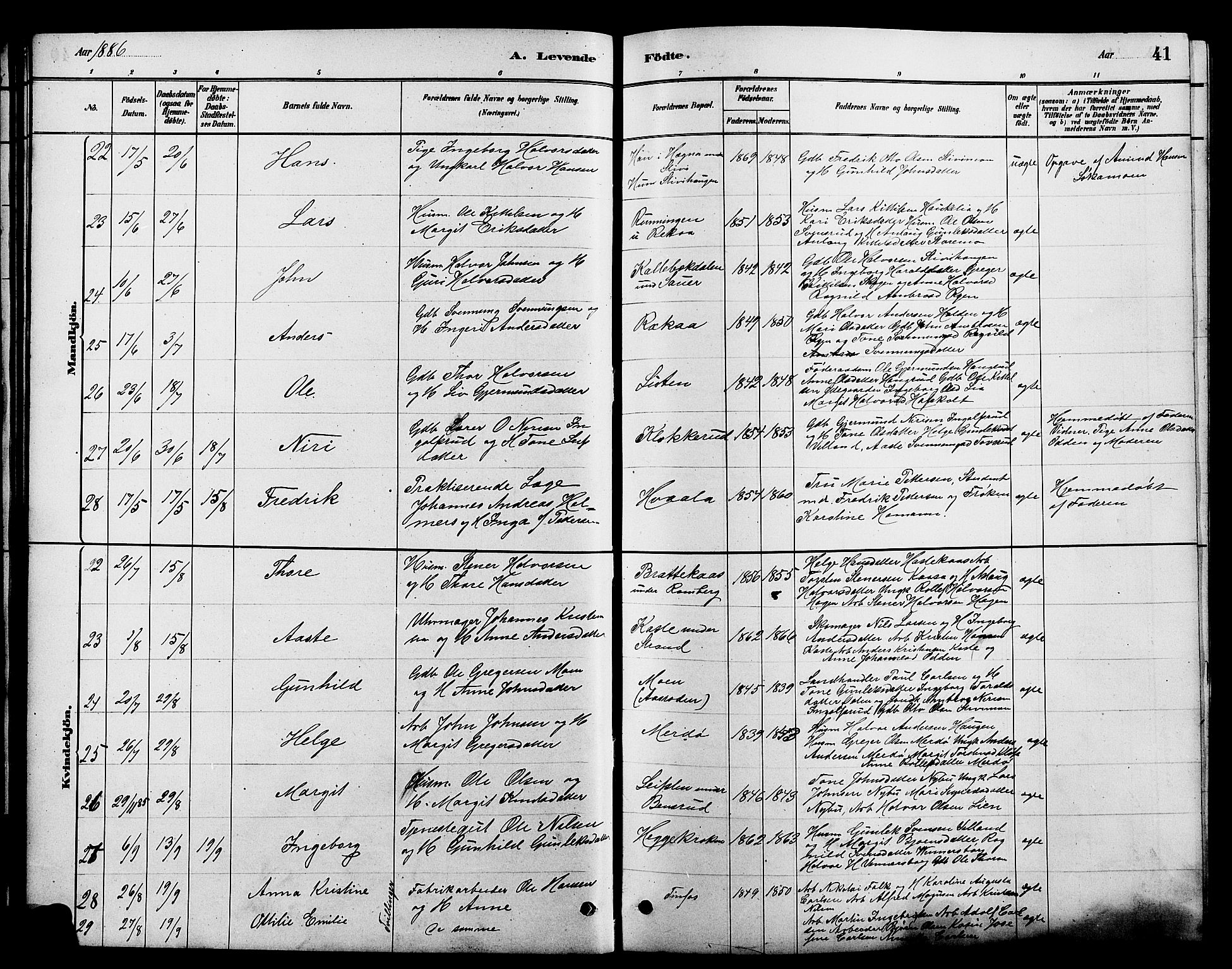 Heddal kirkebøker, SAKO/A-268/G/Ga/L0002: Parish register (copy) no. I 2, 1879-1908, p. 41