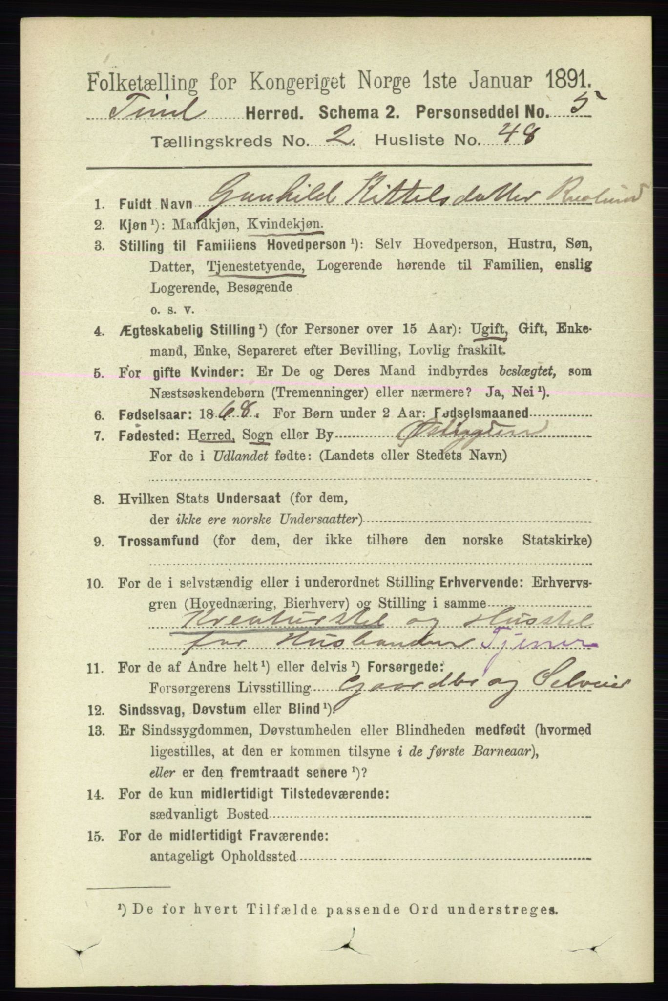 RA, 1891 census for 0826 Tinn, 1891, p. 425