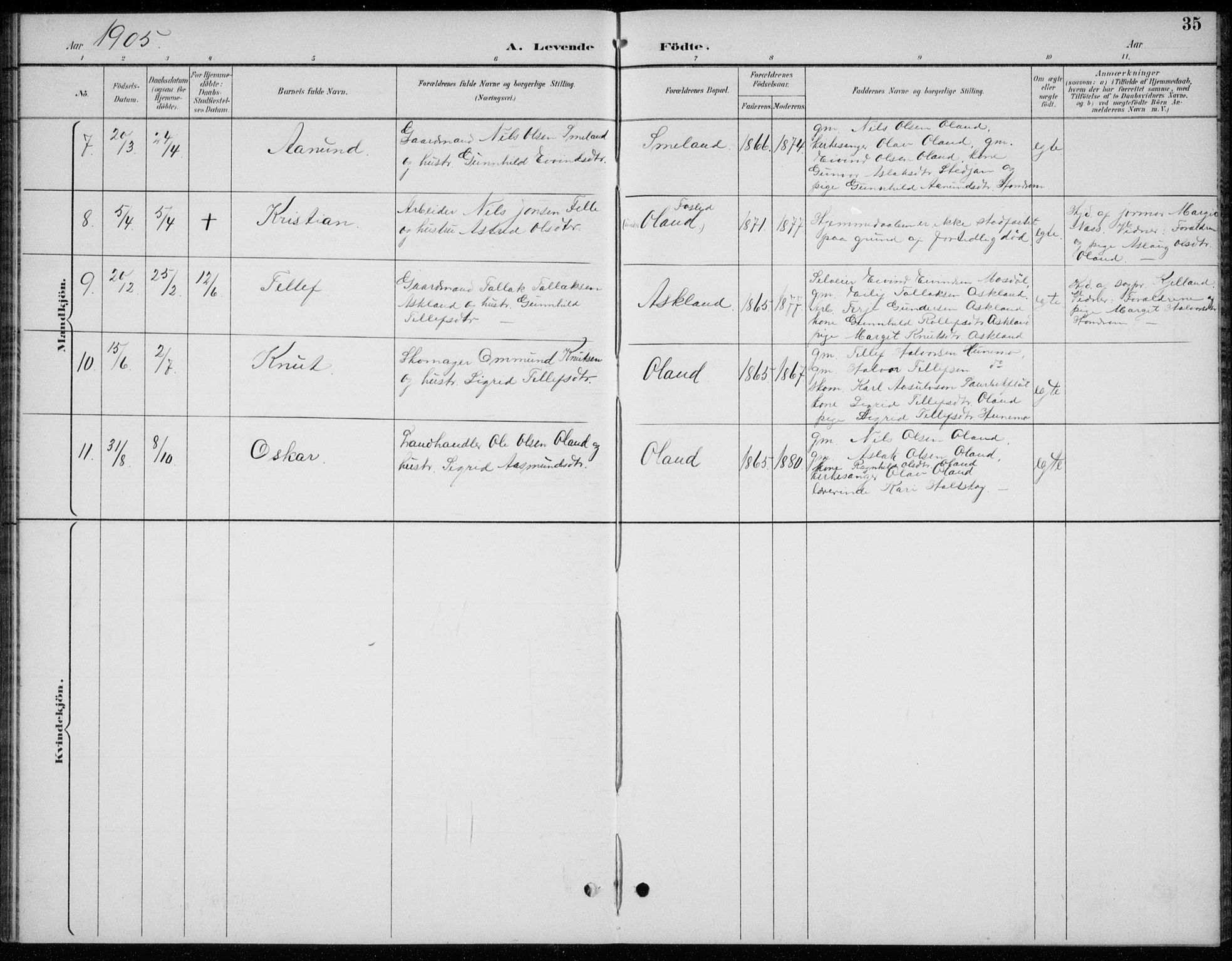 Åmli sokneprestkontor, AV/SAK-1111-0050/F/Fb/Fba/L0002: Parish register (copy) no. B 2, 1890-1912, p. 35