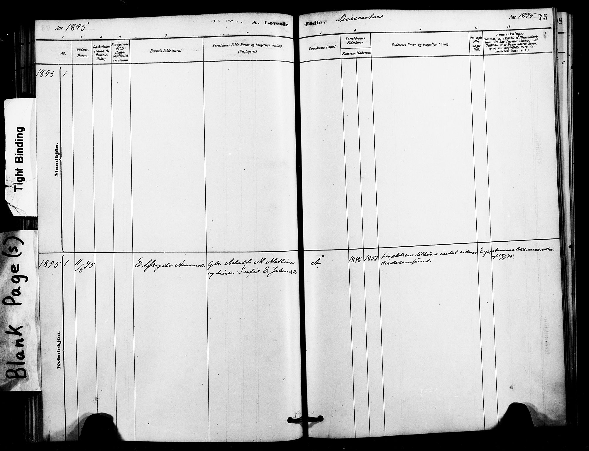 Ministerialprotokoller, klokkerbøker og fødselsregistre - Nordland, AV/SAT-A-1459/897/L1399: Parish register (official) no. 897C06, 1881-1896, p. 75