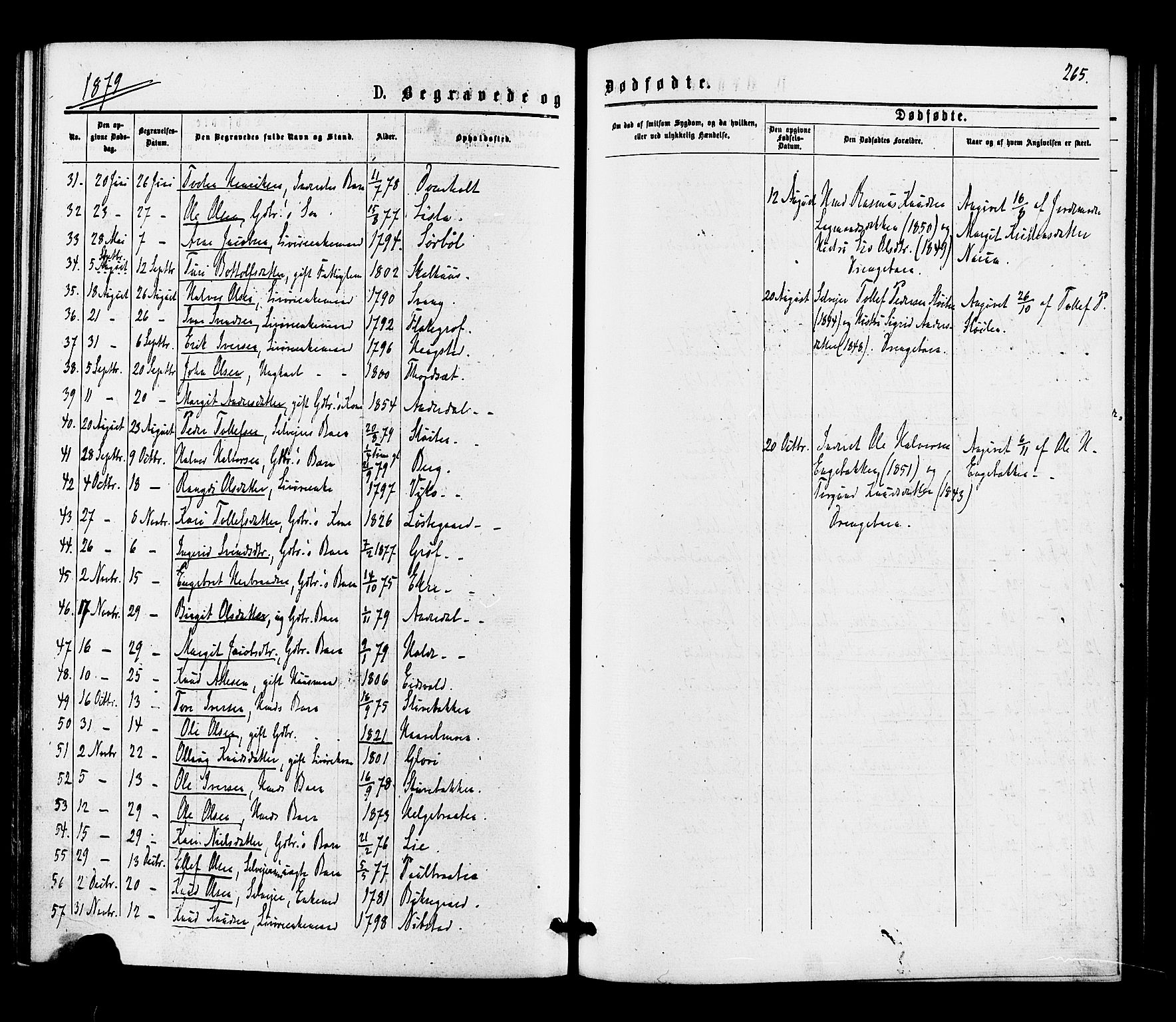 Gol kirkebøker, SAKO/A-226/F/Fa/L0004: Parish register (official) no. I 4, 1876-1886, p. 265
