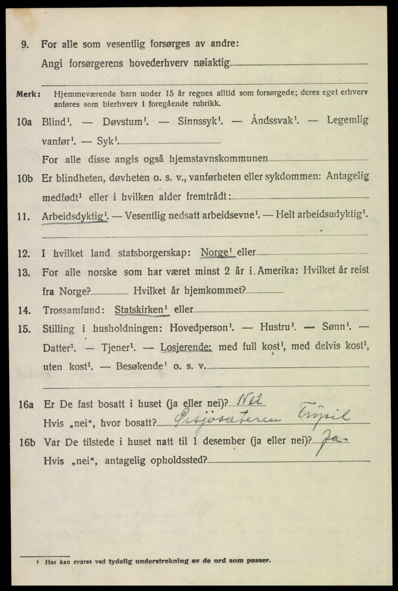 SAH, 1920 census for Trysil, 1920, p. 7048